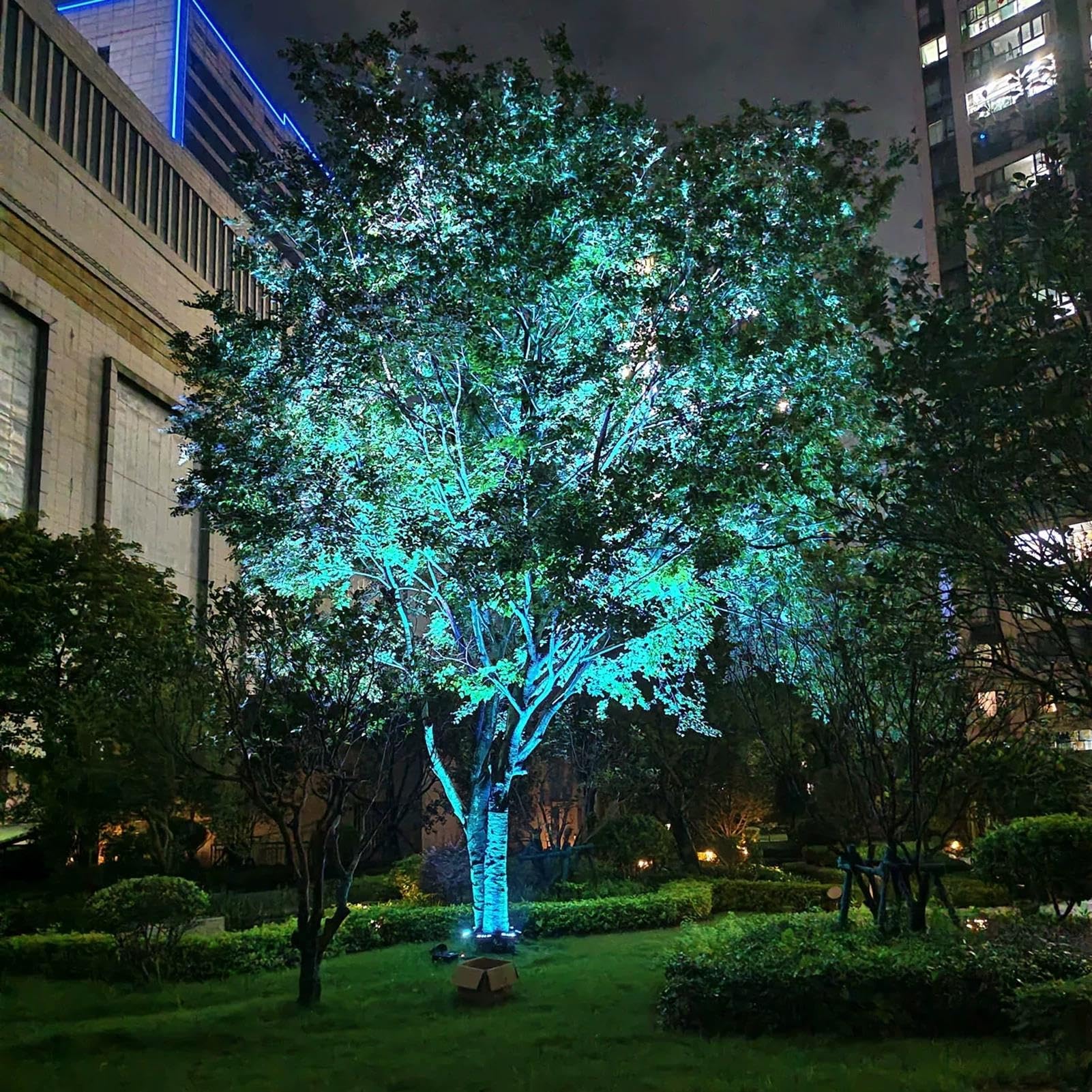 Luce per albero di palma da esterno Rgb, faretto paesaggistico