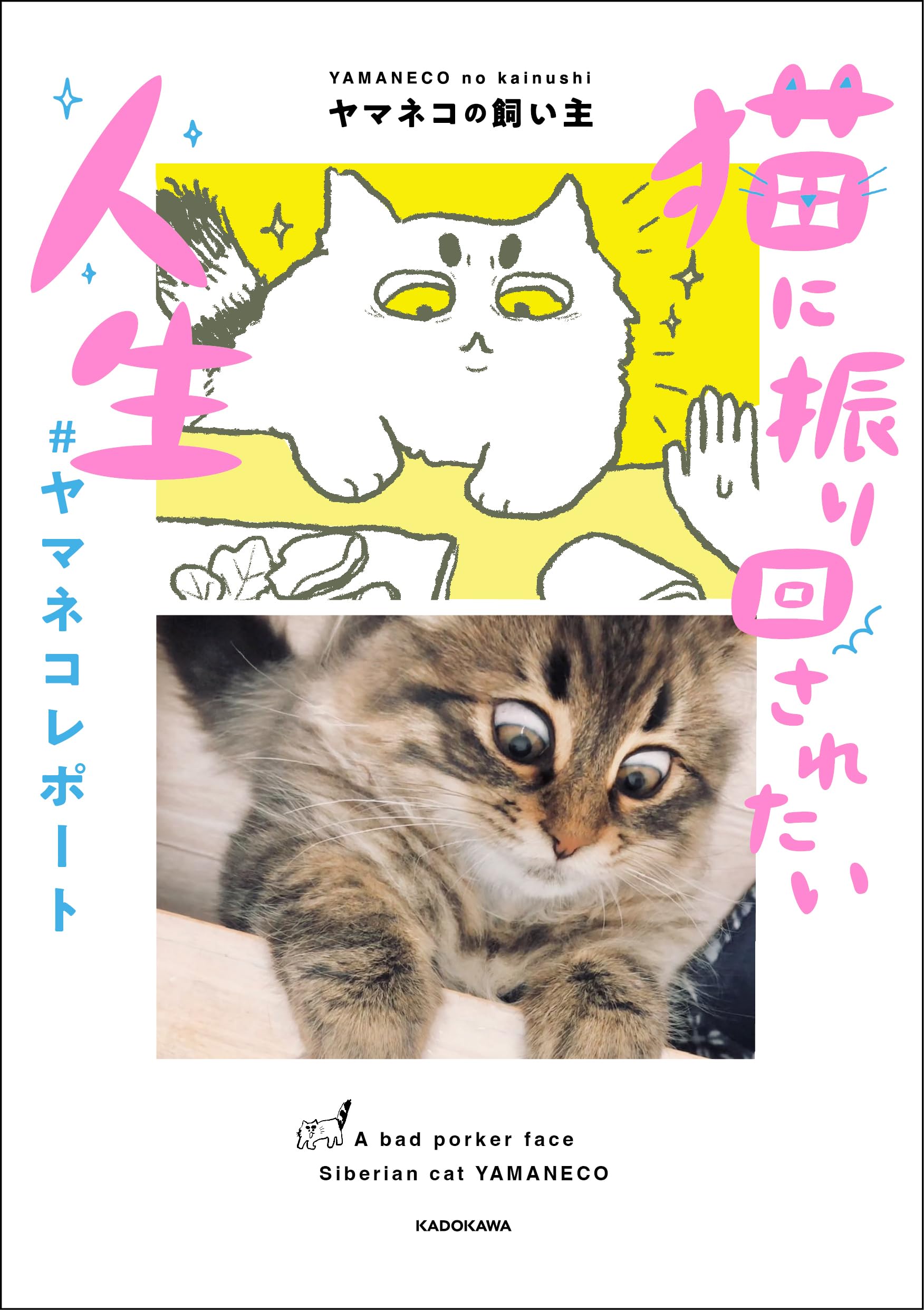 Amazon.co.jp: 猫に振り回されたい人生 #ヤマネコレポート : ヤマネコ