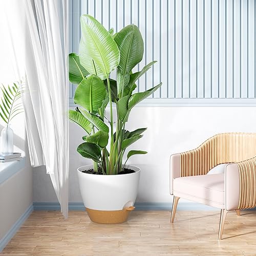 Miniatura 6 de ZMTECH 1 paquete de macetas de 12 pulgadas con borde de riego automático con agujeros de drenaje y platillo extraíble, maceta de plástico para