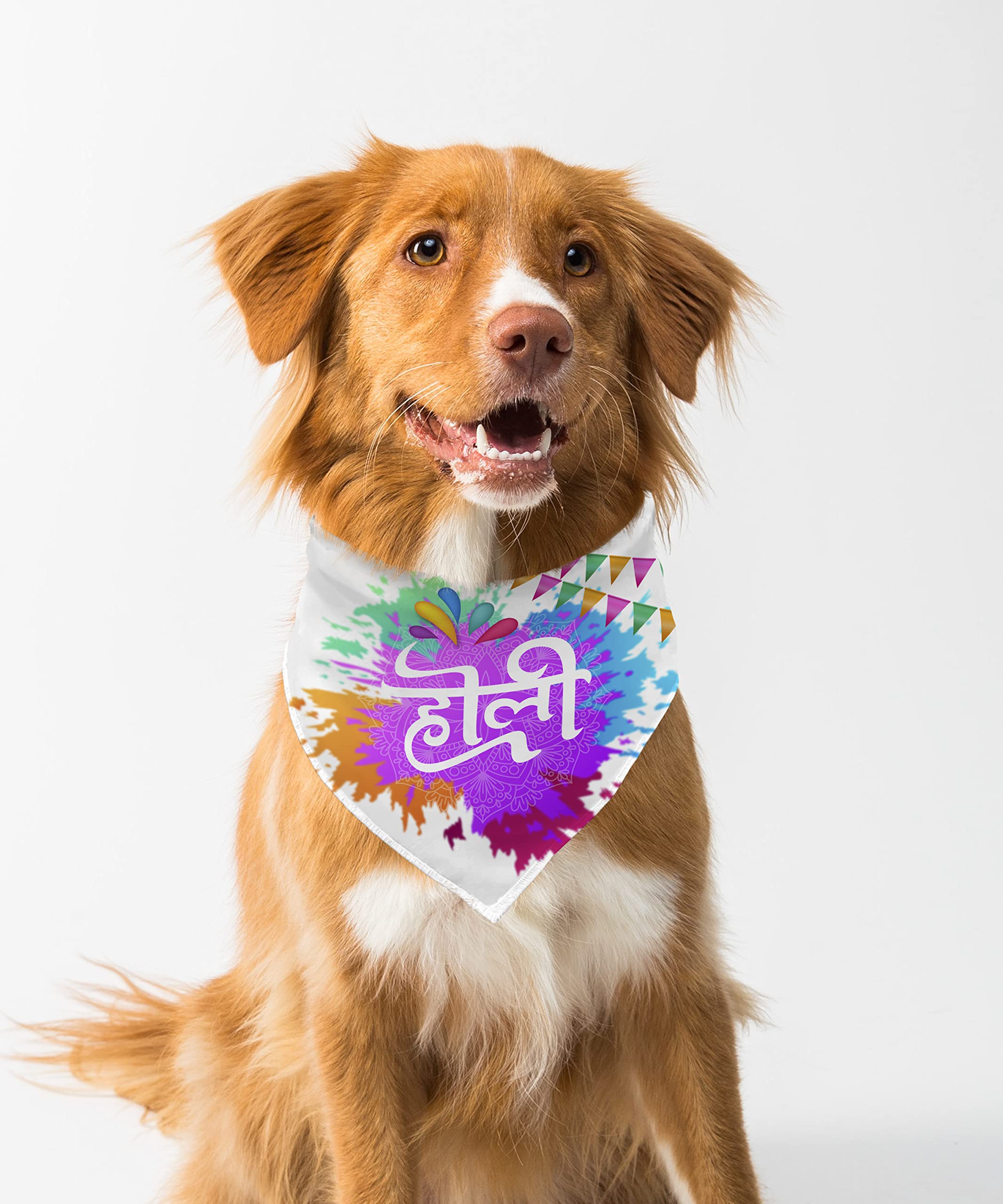 Farnup Adjustable & Comfortable Dog Bandana, Holi Design 3, Graphic Printed Holi Design Bandana for Dogs | Dog Scarf, Accessory | Gifts for Dogs-M/L (B0BWWTY4QQ) Amazon Price History, Amazon Price Tracker