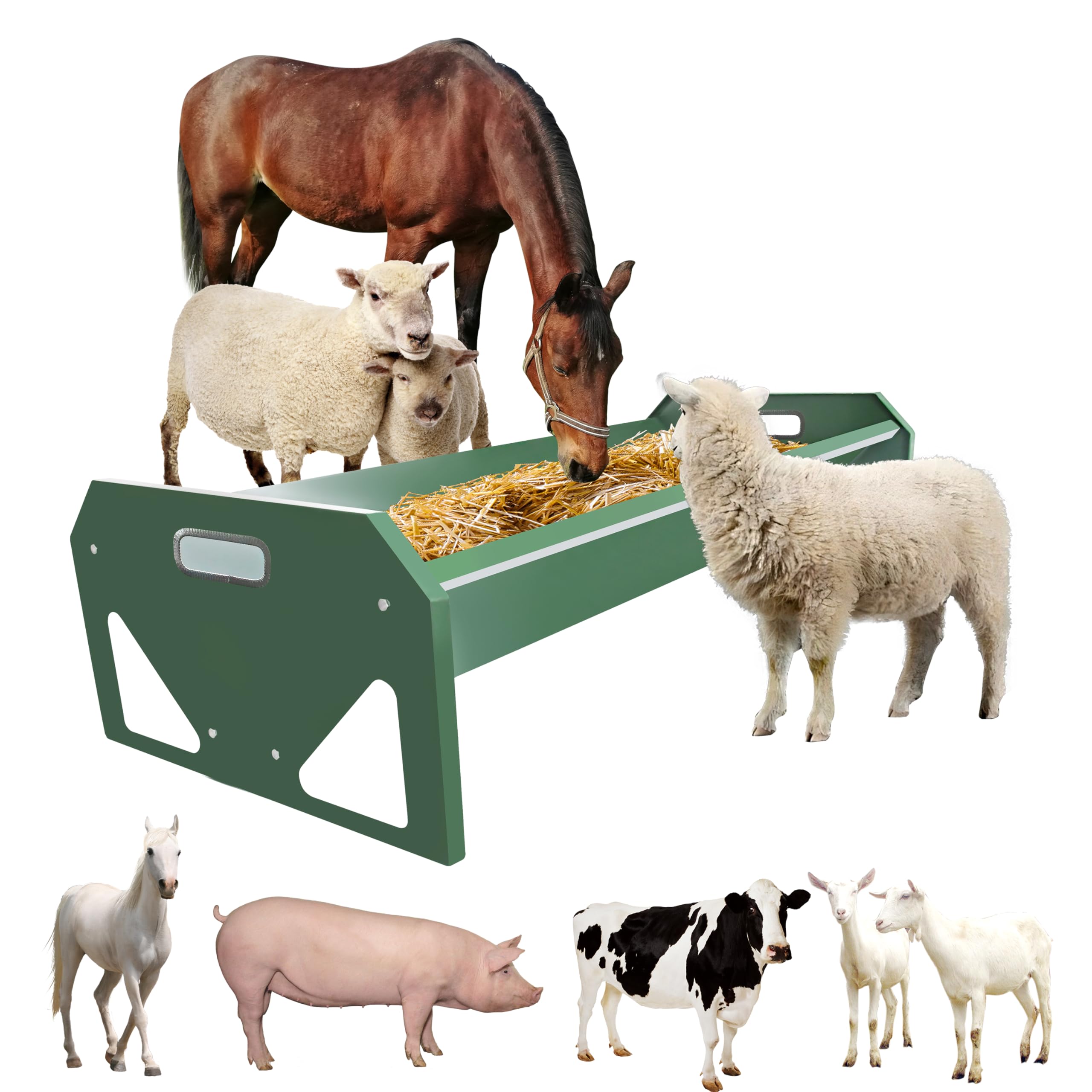 ETSSXYSO Stainless Feeder