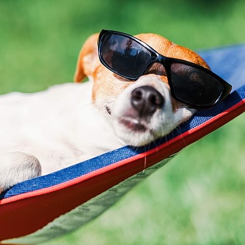 Miniatura 5 de Lavish Home 80-OUTHAM-RED Hamaca portátil con soporte