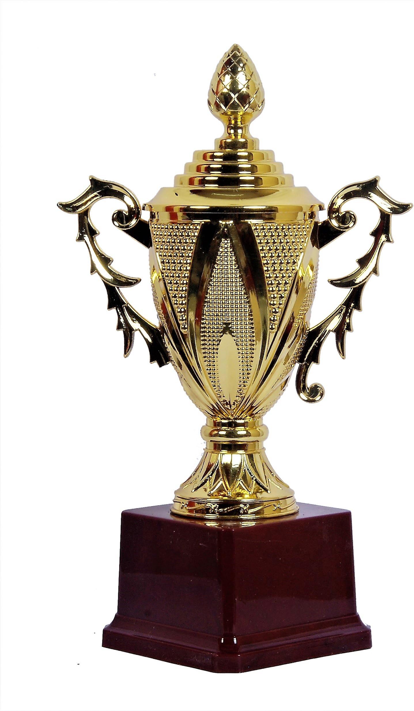 Fiber Glass Trophies for Party Celebrations Ceremony Appreciation Sport Academy Awards for Teachers and Students (7 Inch, Brown and Golden)