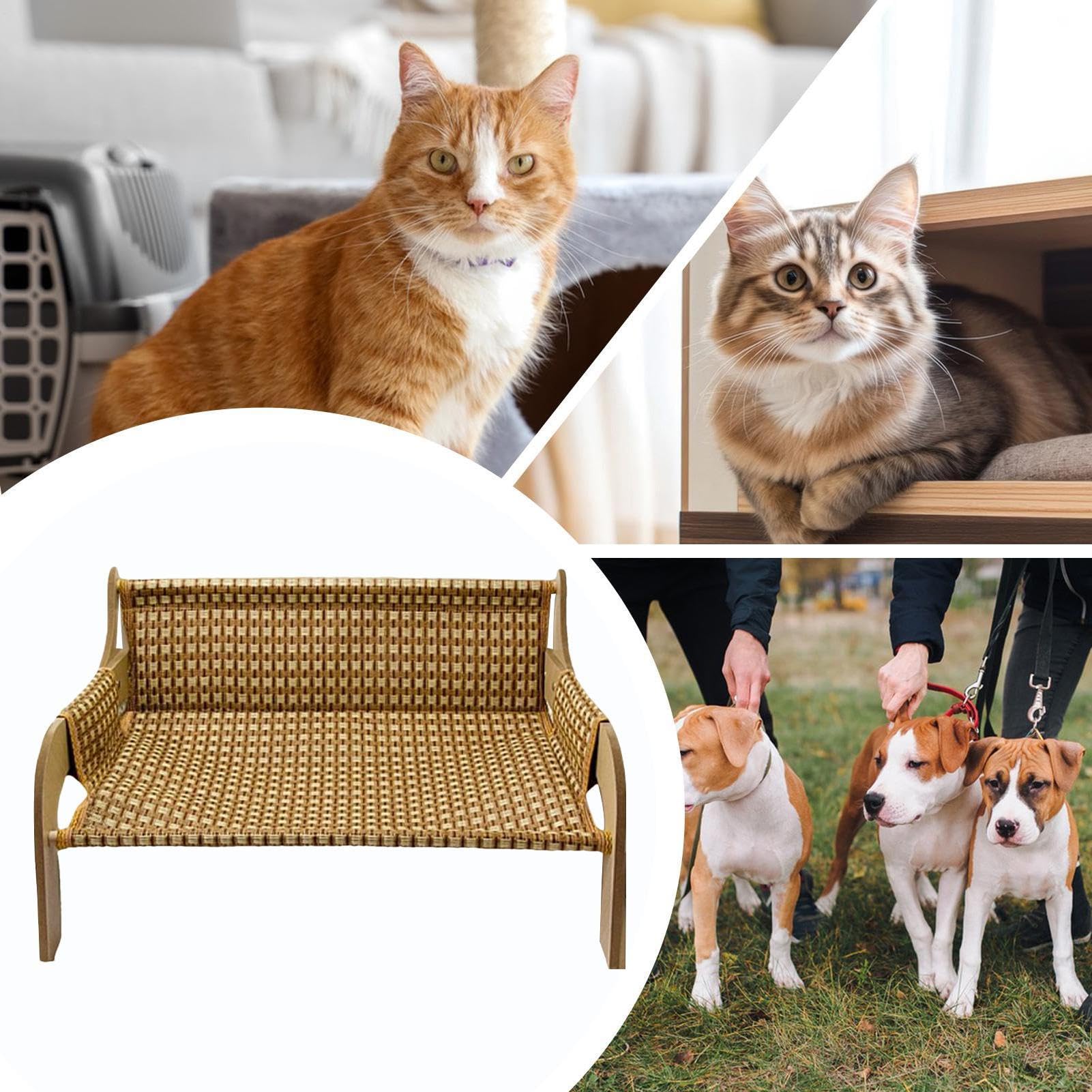 Cama Hamaca para Gatos - Estilo Sofá Elevado Tumbona para Mascotas De 52x42x29,5 Cm, ​​Sillón Refrescante De Tela Transpirable, Sofá Elevado para Cachorro Gatito | Muebles de Interior y Exterior para