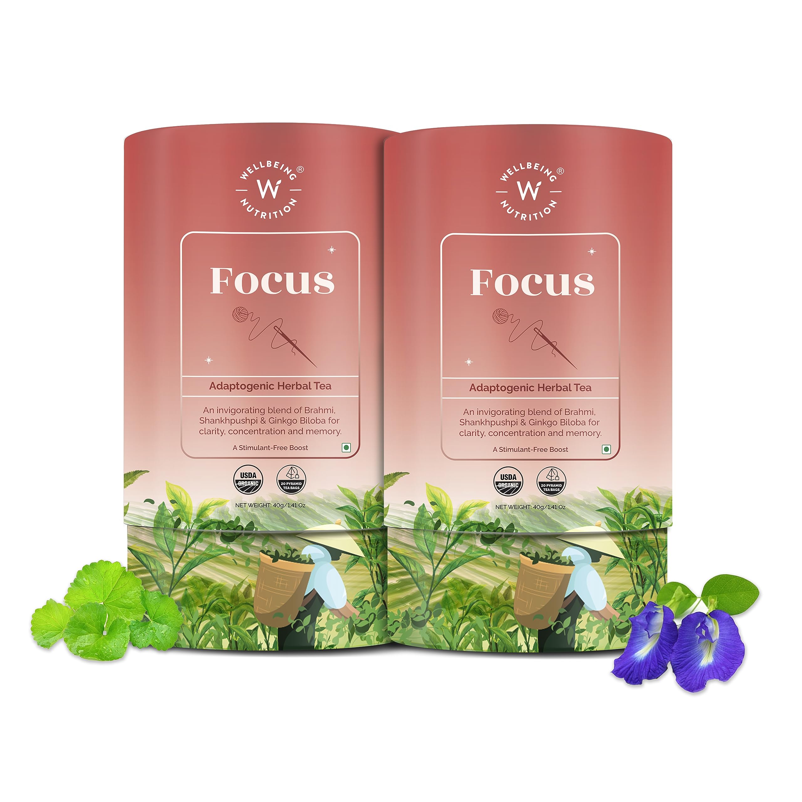 See full amazon price history chart for Wellbeing Nutrition Focus Tea | Memory Booster Green Tea for Focus, Concentration & Cognitive Function with Brahmi, Shankhpushpi, Ginkgo Biloba, Gotu Kola (40 Pyramid Tea Bags) Wellbeing Nutrition Focus Tea | Memory Booster Green Tea for Focus, Concentration & Cognitive Function with Brahmi, Shankhpushpi, Ginkgo Biloba, Gotu Kola (40 Pyramid Tea Bags) (B0CCXZPSMD) Amazon Price History, Amazon Price Tracker
