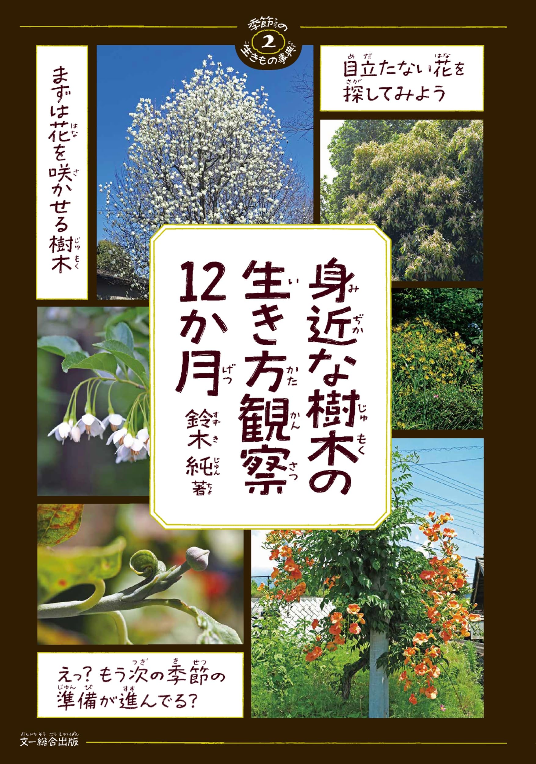 身近な樹木の生き方観察12か月 (季節の生きもの事典 2) | 鈴木 純 |本