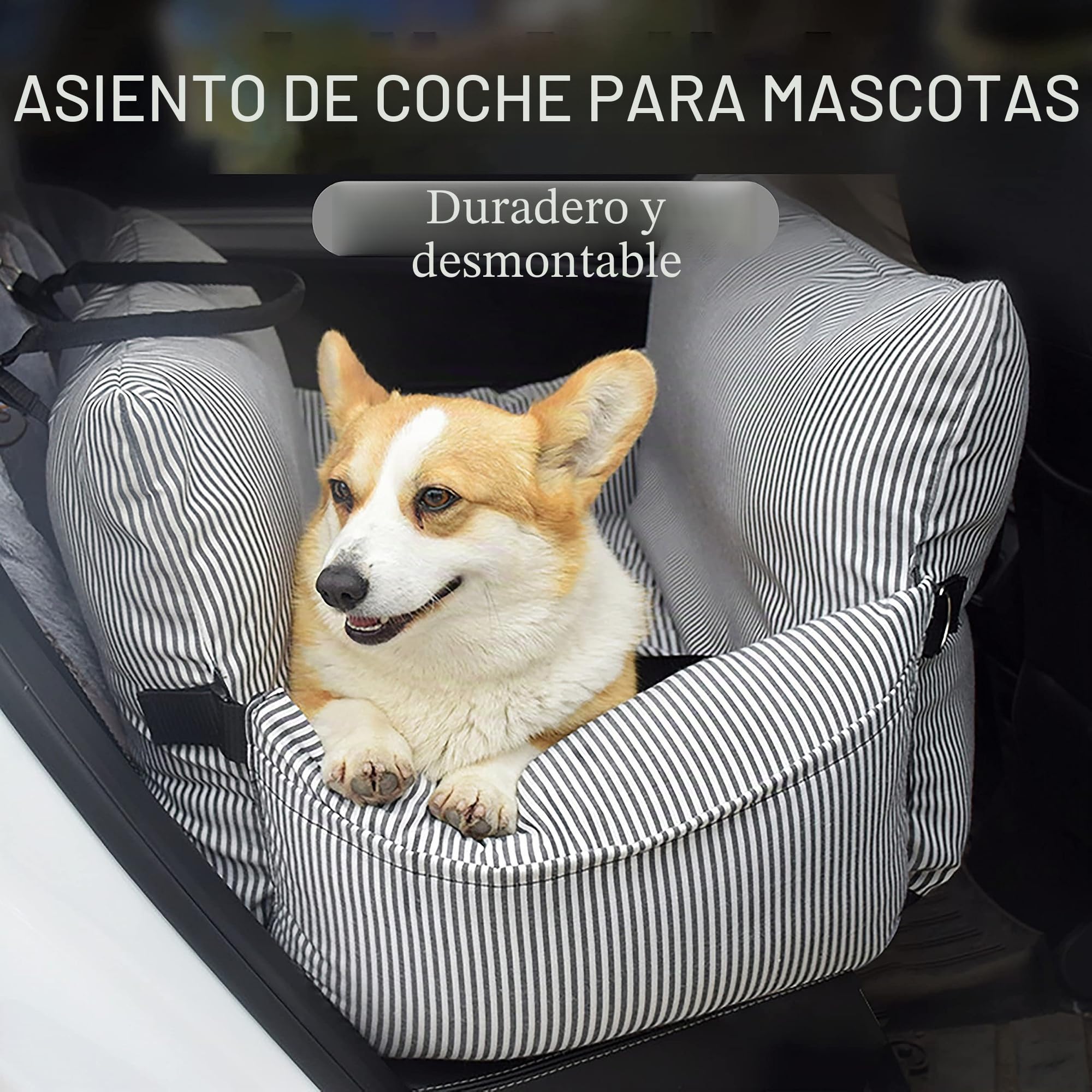 Johnear Asientos para automóviles de Mascotas，cojín para Perros medianos Perros, Cama para Gatos, Cama de Viaje con Correa de Seguridad, extraíble y Lavable, Bolsa de Transporte para Mascotas