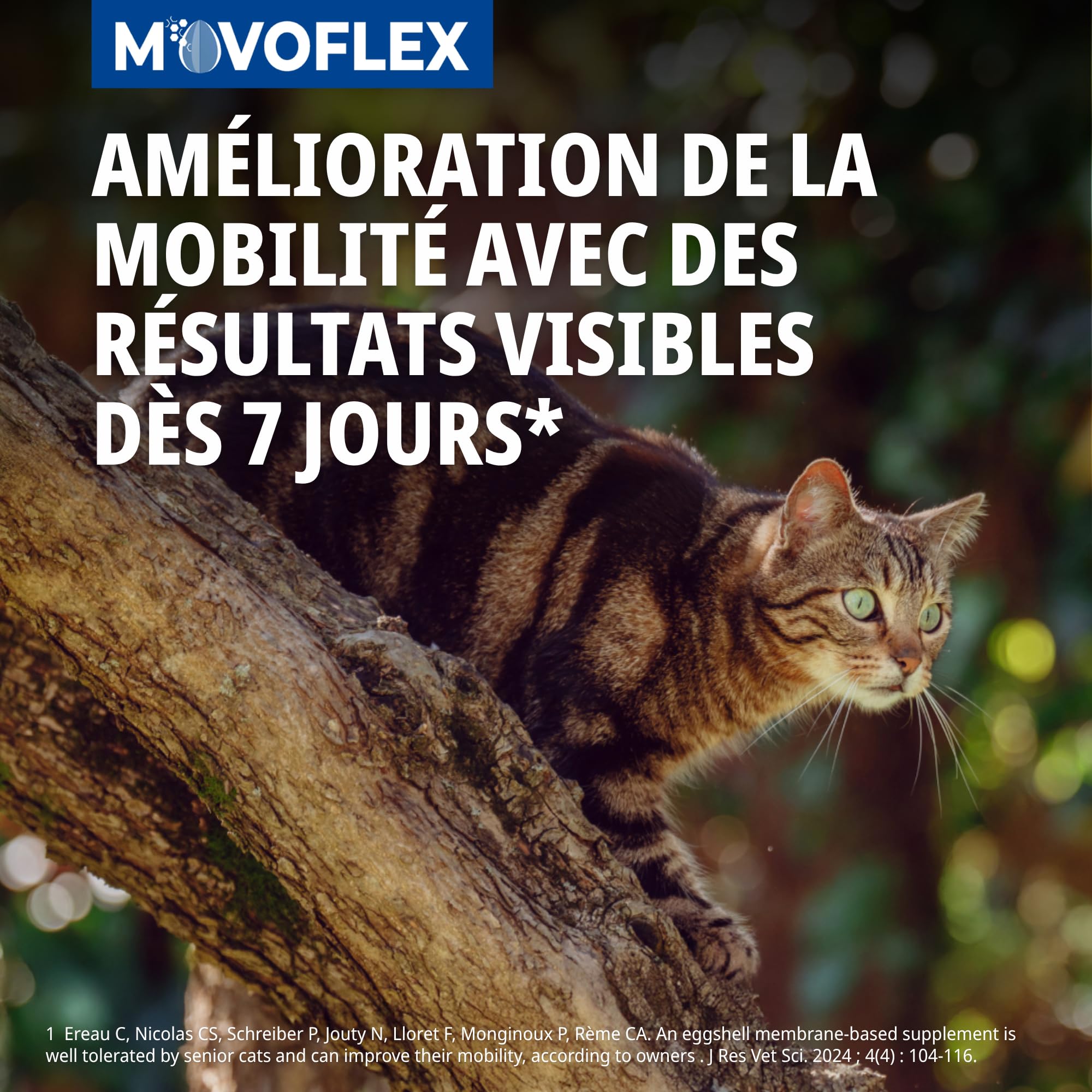 MOVOFLEX Gato 30 Chews