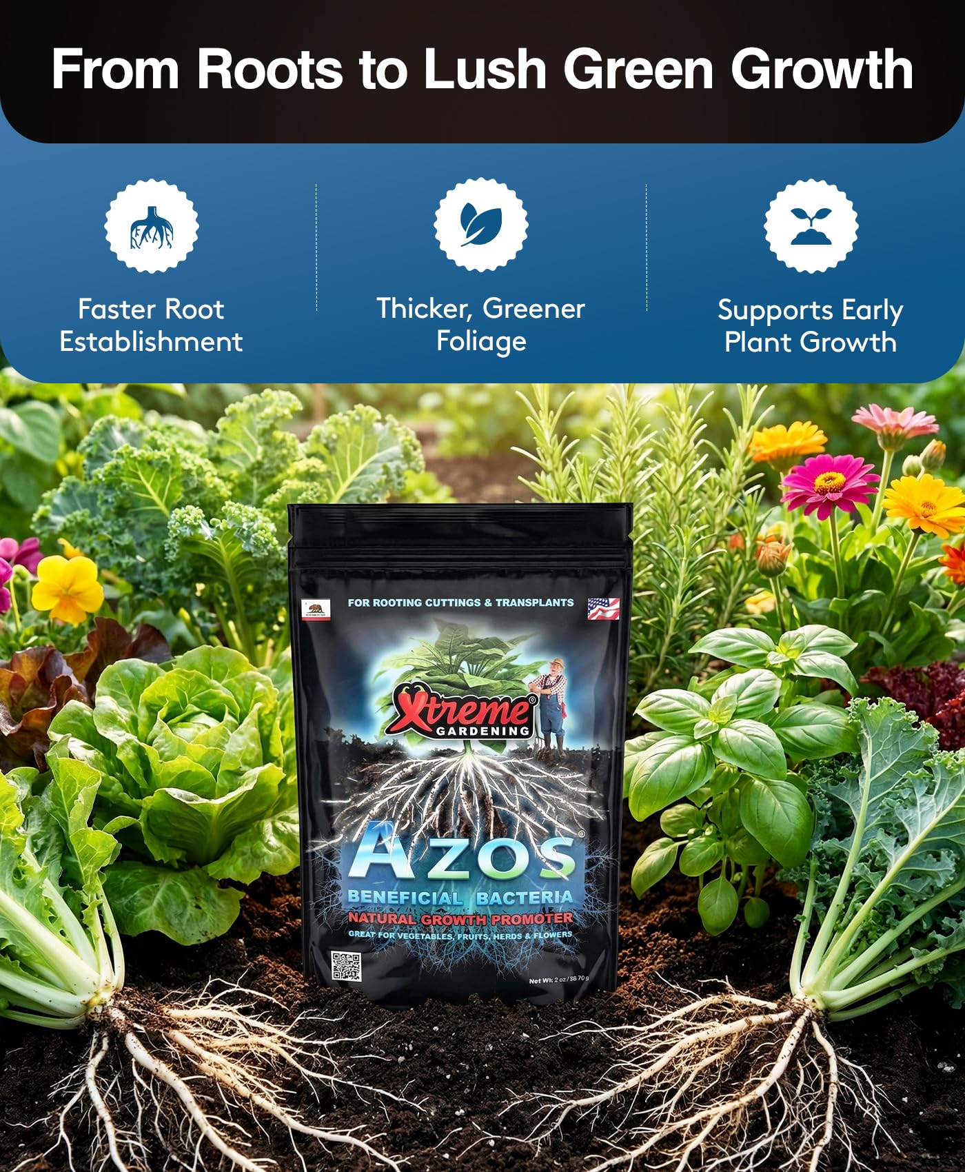 Amazon.com : Xtreme Gardening AZOS – Beneficial Nitrogen-Fixing