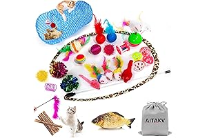 AILUKI 31 Piece Cat Assorted Toys Set