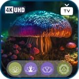 魔法のキノコの避難所-穏やかな自然の音、魅惑的なフルート、そして火災テレビやタブレットで睡眠、リラクゼーションのための癒しのバイブ