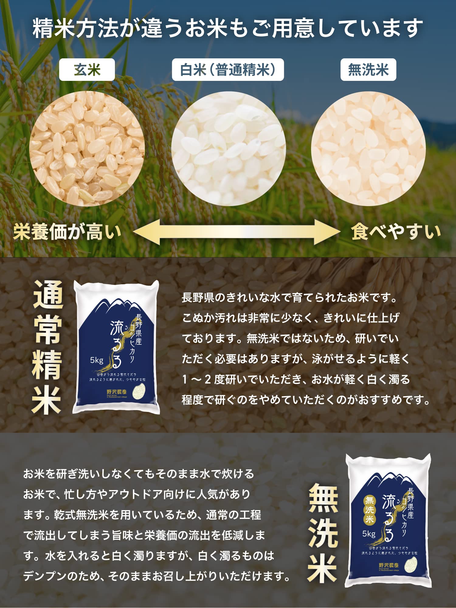新米】長野県産コシヒカリ20kg白米or玄米 【公式通販】