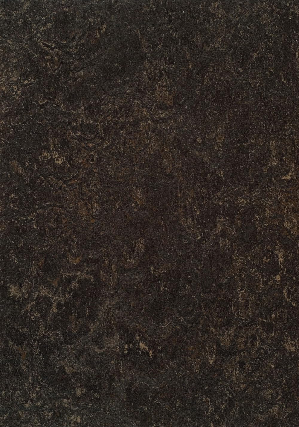 ForboMarmoleum Click Cinch LOC Seal Waterproof Seal 333236 Dark Bistre 12" x 12" Linoleum Tile Flooring (6.7 SF/Box)