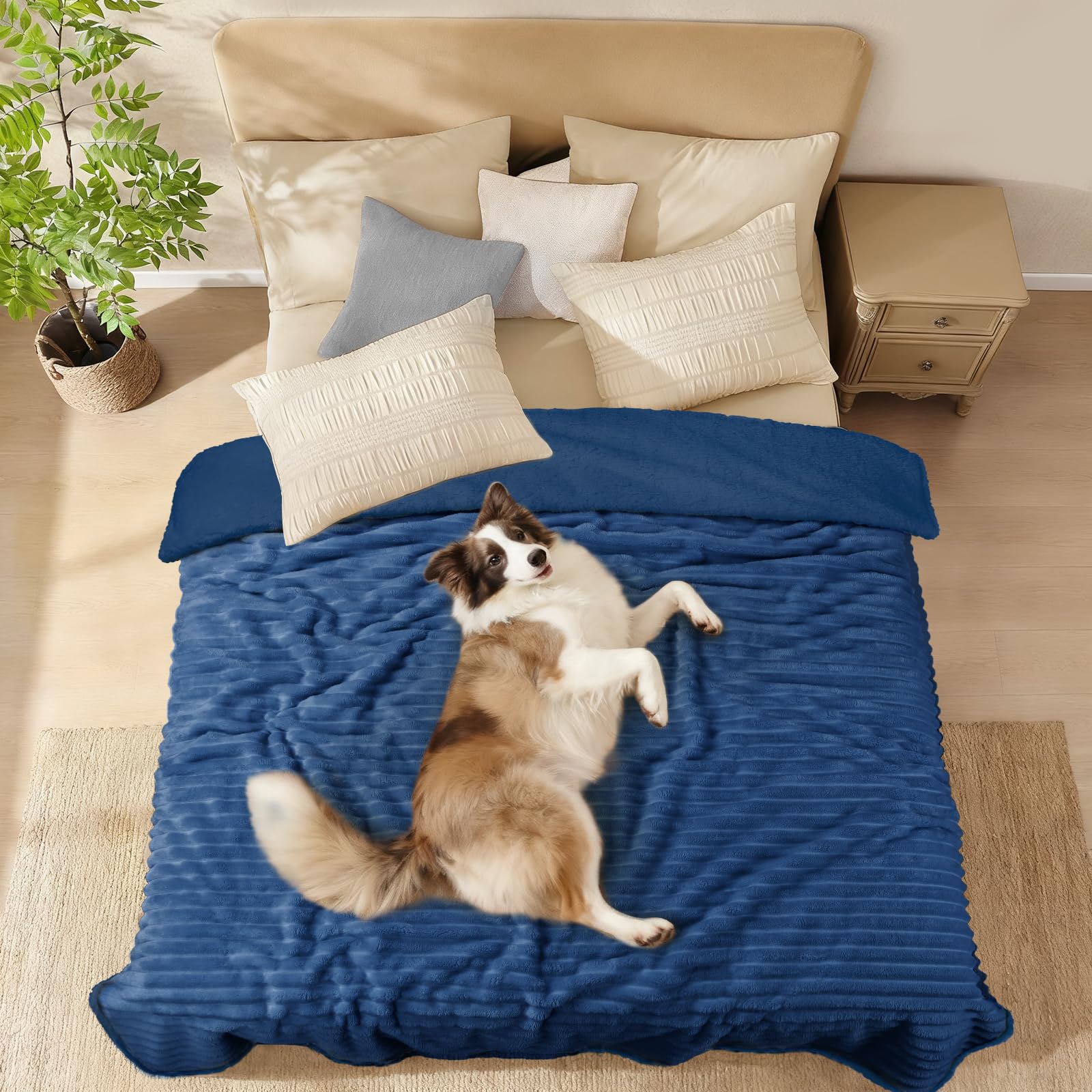 luciphia Coperta Impermeabile per Cani Lavabile,Coperte per Gatti Adatte a Gatti e Cani,Morbida Coperta in Pile Sherpa,la Coperta per Animali Domestici Protegge Letti e Divani,Blu Navy 145 * 216cm