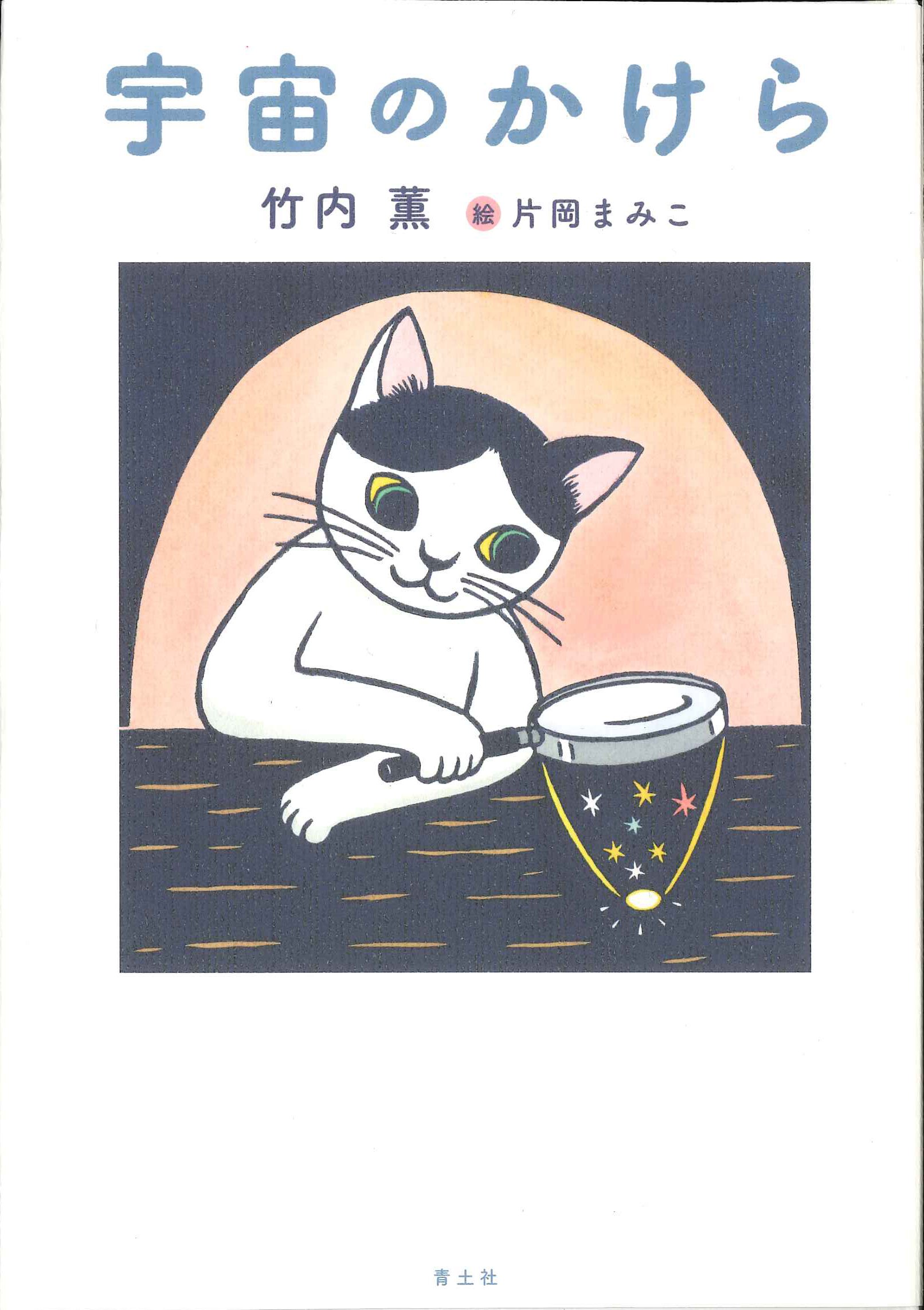 宇宙のかけら 竹内薫 片岡まみこ 本 通販 Amazon 宇宙のかけら 竹内薫 片岡まみこ 本 通販 Amazon