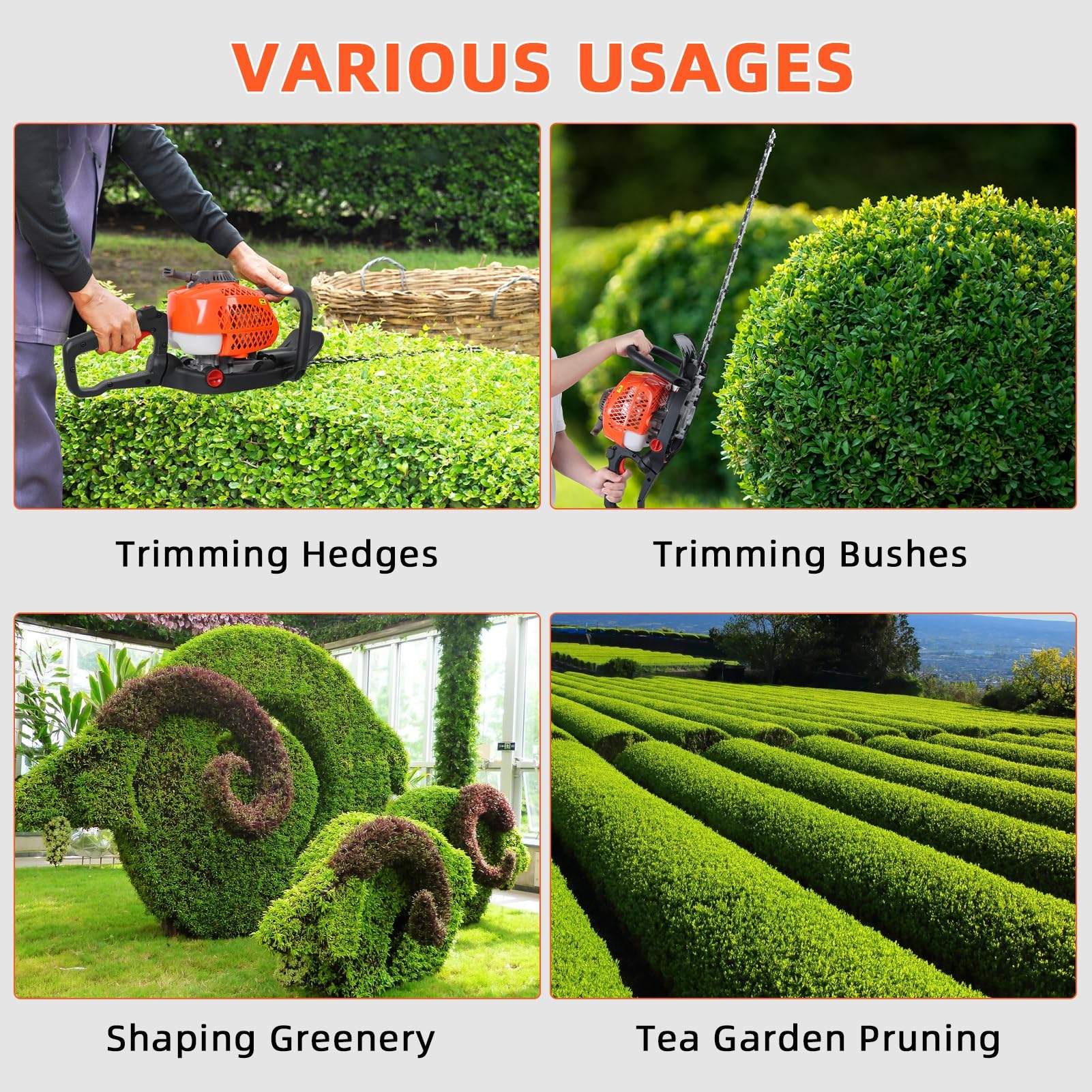 Taille-Haie Essence 26 cm³ Double Lame 600mm, Taille-Haie Thermique Puissant avec Poignée Ergonomique, Démarrage Rapide pour Jardin, Arbustes et Haies Orange