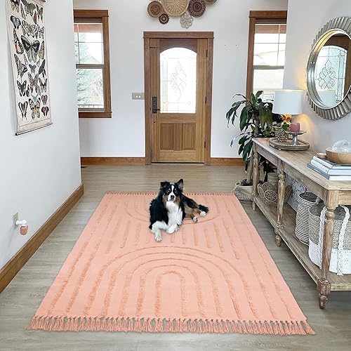 Miniatura 6 de Lanffia Alfombra bohemia de 4 x 6 pies, moderna alfombra de arcoíris rosa para sala de estar y habitación de los niños, alfombra lavable con borlas