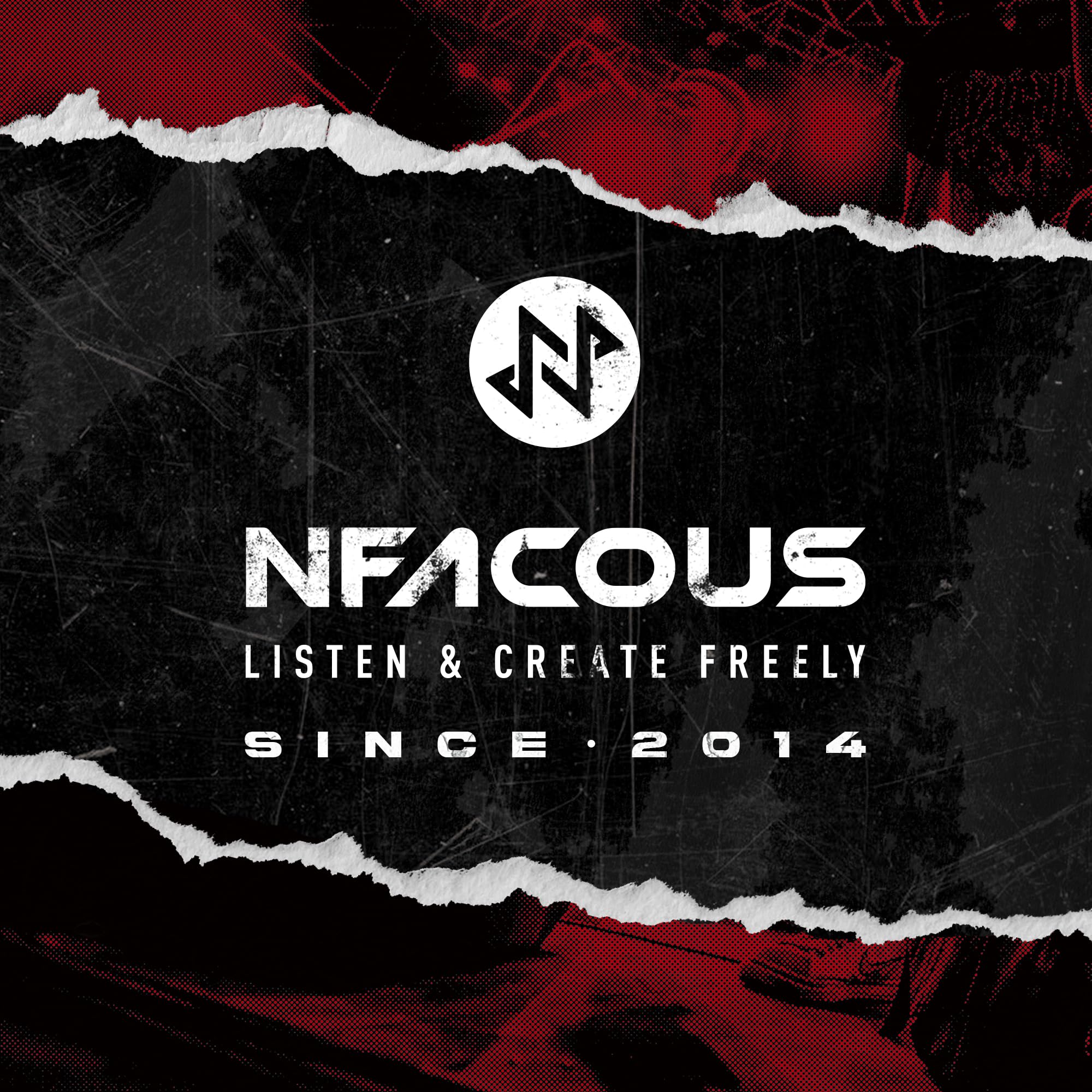NM20 - Auriculares intraurales con cable para monitor de oído, uso en escenario, auriculares profesionales de estudio, sonido claro extra graves para músicos, audiófilos, controlador dinámico