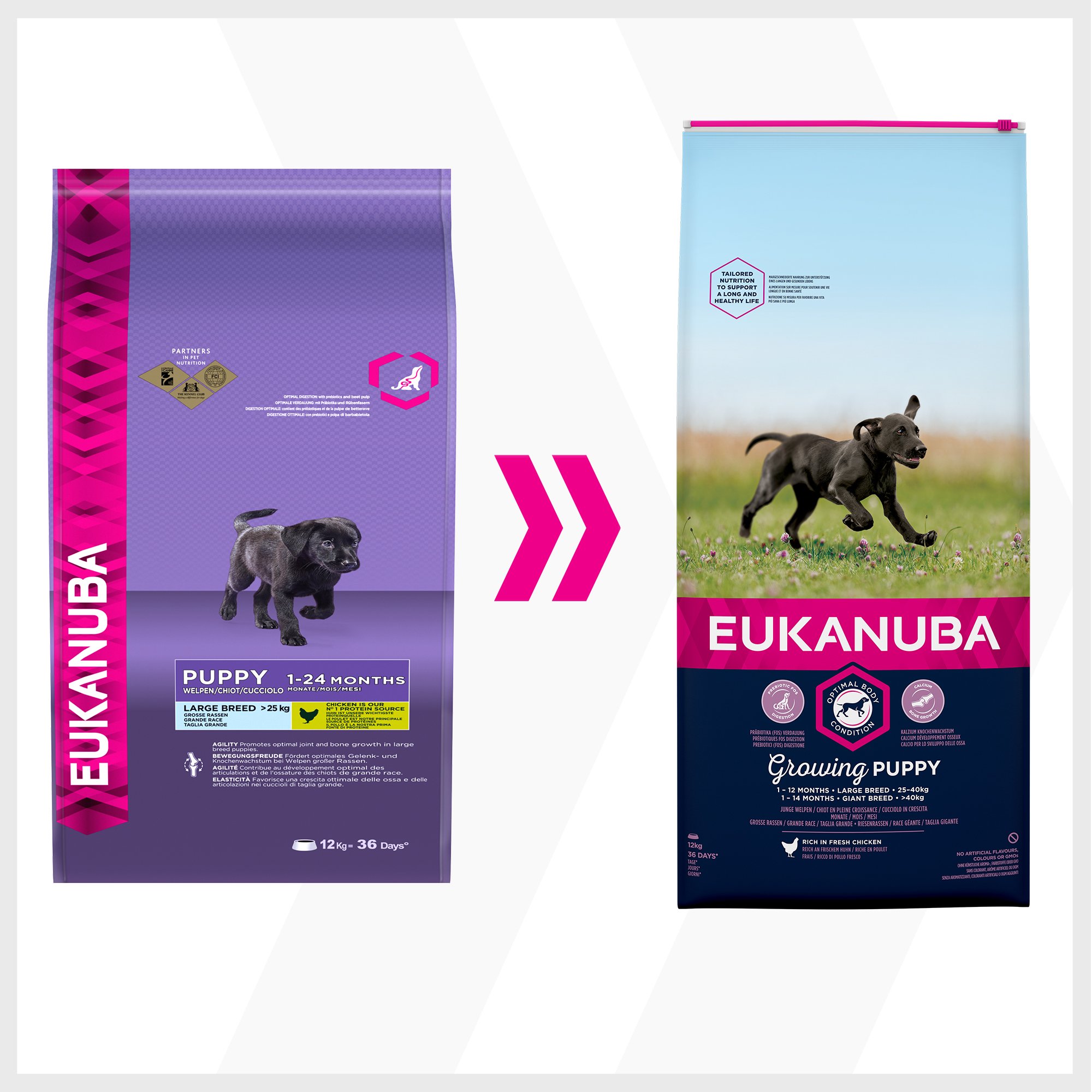 Eukanuba Welpenhundefutter für große Hunde, reich an frischem Hühn, 12 kg
