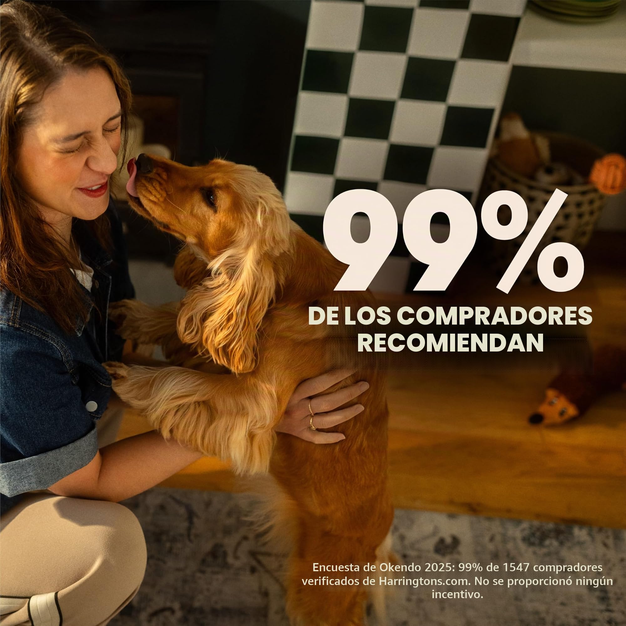 Alimento seco para Perros Harrington's Senior Complete con Pollo y arroz, 12 kg, elaborado con Ingredientes Totalmente Naturales