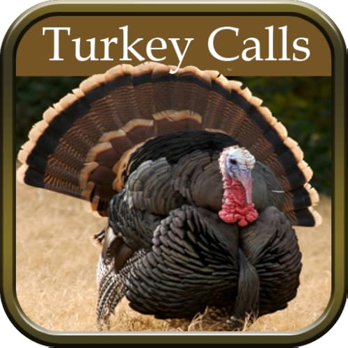 Turkey Hunting Calls