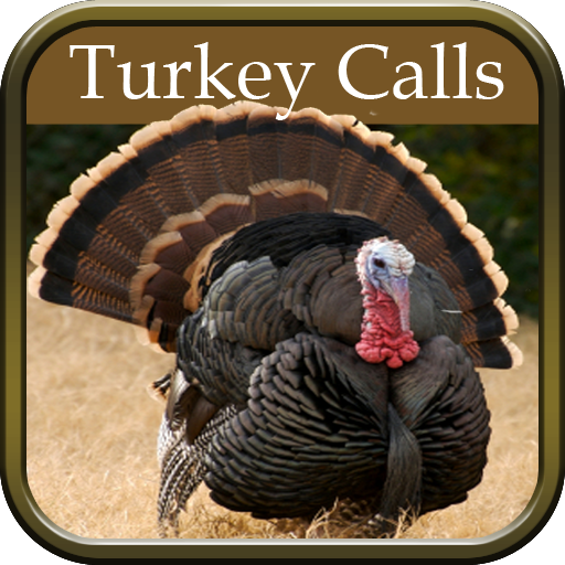 Turkey Hunting Calls App on Amazon Appstore