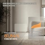 BR Bringer elektryczny promiennik podczerwieni 450 W z inteligentnym termostatem i zdalnym sterowaniem, WIFI i aplikacją - do montażu na ścianie lub do użytku mobilnego, energooszczędny (biały)