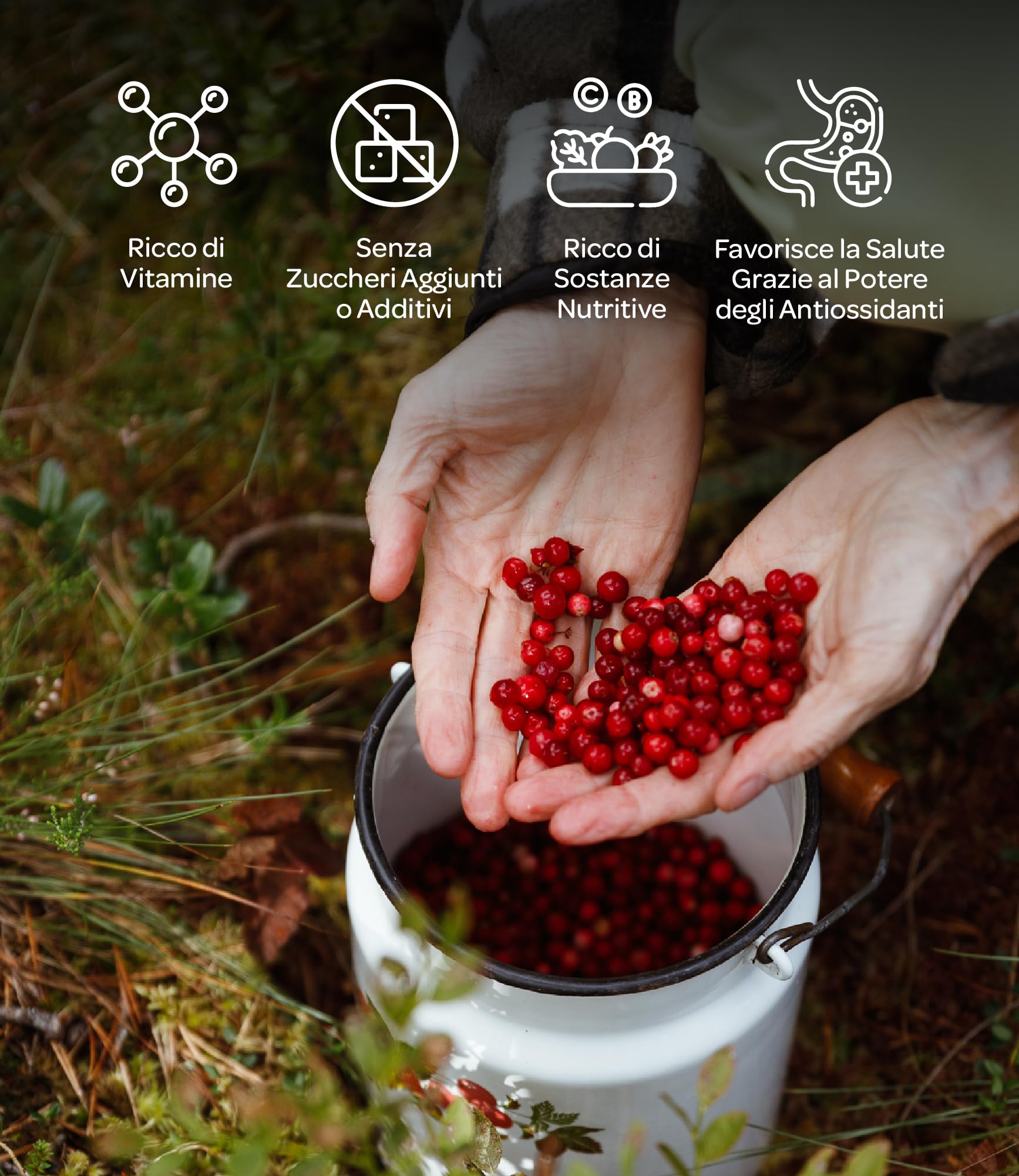 Succo di Frutta Biologico di Mirtillo Rosso Americano, 500 ml, Prodotto al 100% da Bacche Direttamente Pressate, Senza Aggiunta di Acqua o zucchero, Bacche Selvatiche Provenienti da Foreste Nordiche