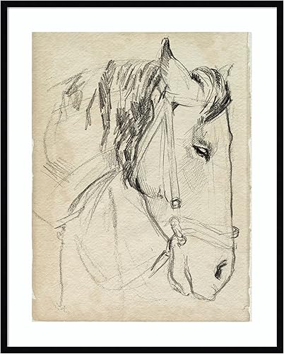 Amanti Art Lienzo decorativo para pared, 41 x 33 pulgadas, diseño de caballo en brida, por Jennifer Paxton Parker, arte de pared de animales,