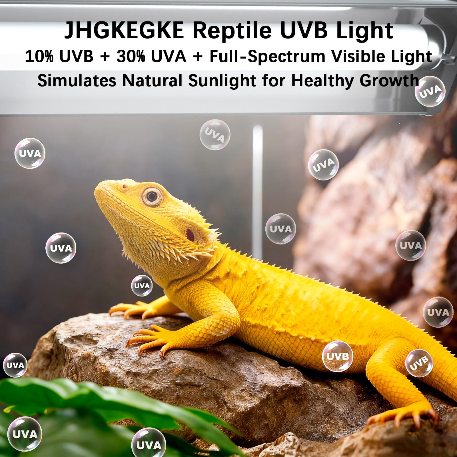 T5 10.0 UVB Reptile Light Fixture Combo Kit, 8 W ad alto rendimento UVA UVB luce con riflettore in lega più ampio aggiornato per draghi barbuti, lucertole tartarughe e rettili del deserto o