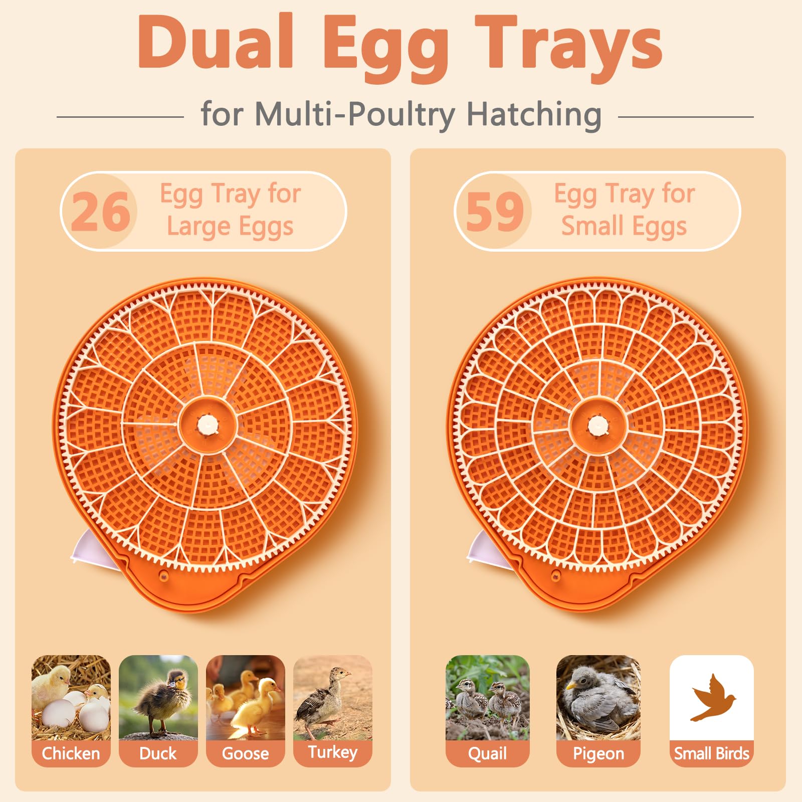 Incubadora controlada por voz para incubar huevos, 2 bandejas de huevos para 26 huevos de pollo o 59 huevos de codorniz, incubadora de huevos con giro automático de huevos y control de humedad