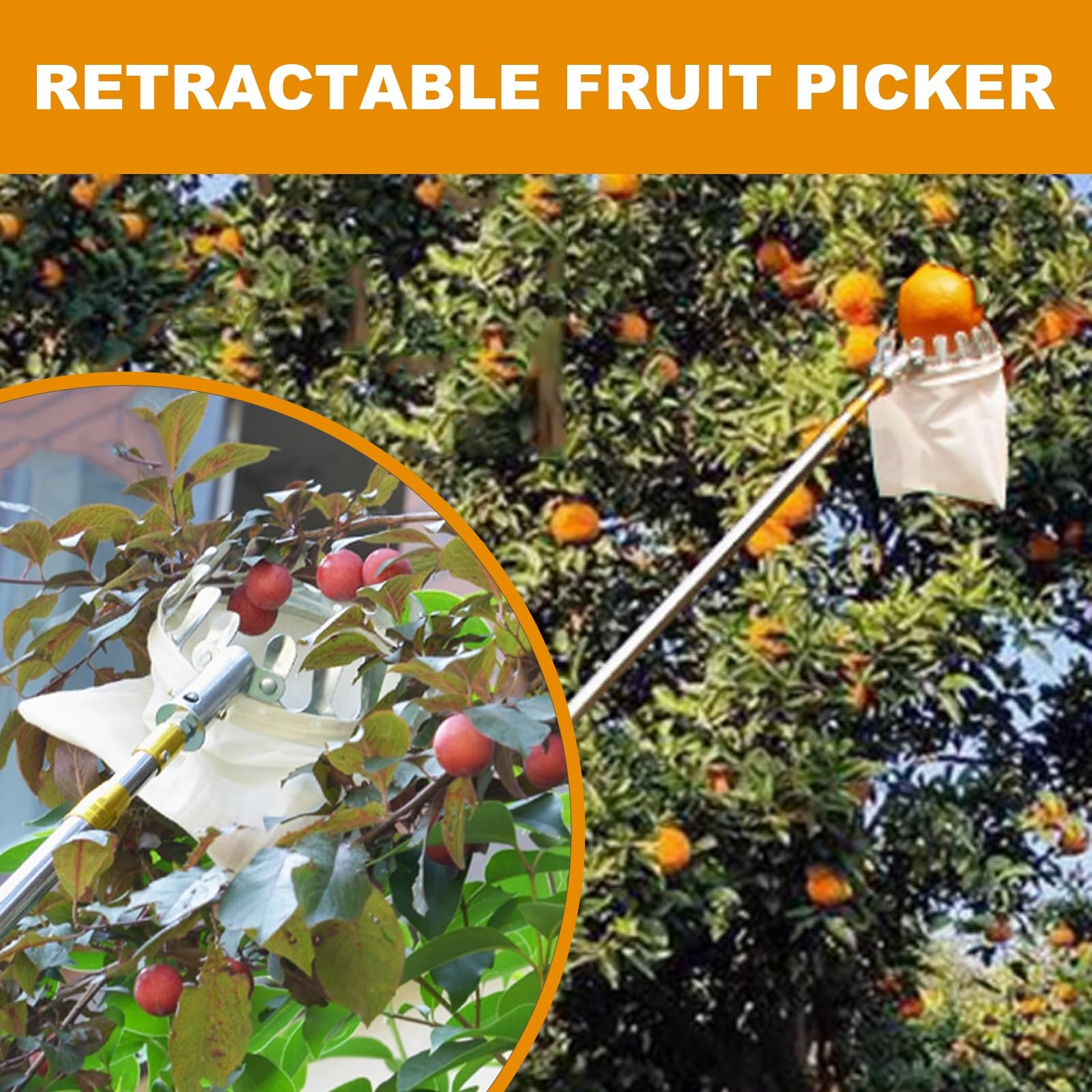 raccoglifrutta, Raccoglitore di pere con Sacco in Tessuto, Asta raccoglifrutta in Acciaio Inox, Estensibile, for Albicocche e(2.5m)