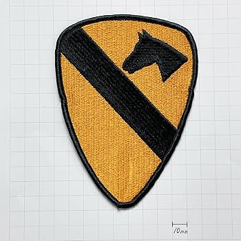 ☆アメリカ軍＊1940年代＊看護助手1年勤続＊中尉階級章