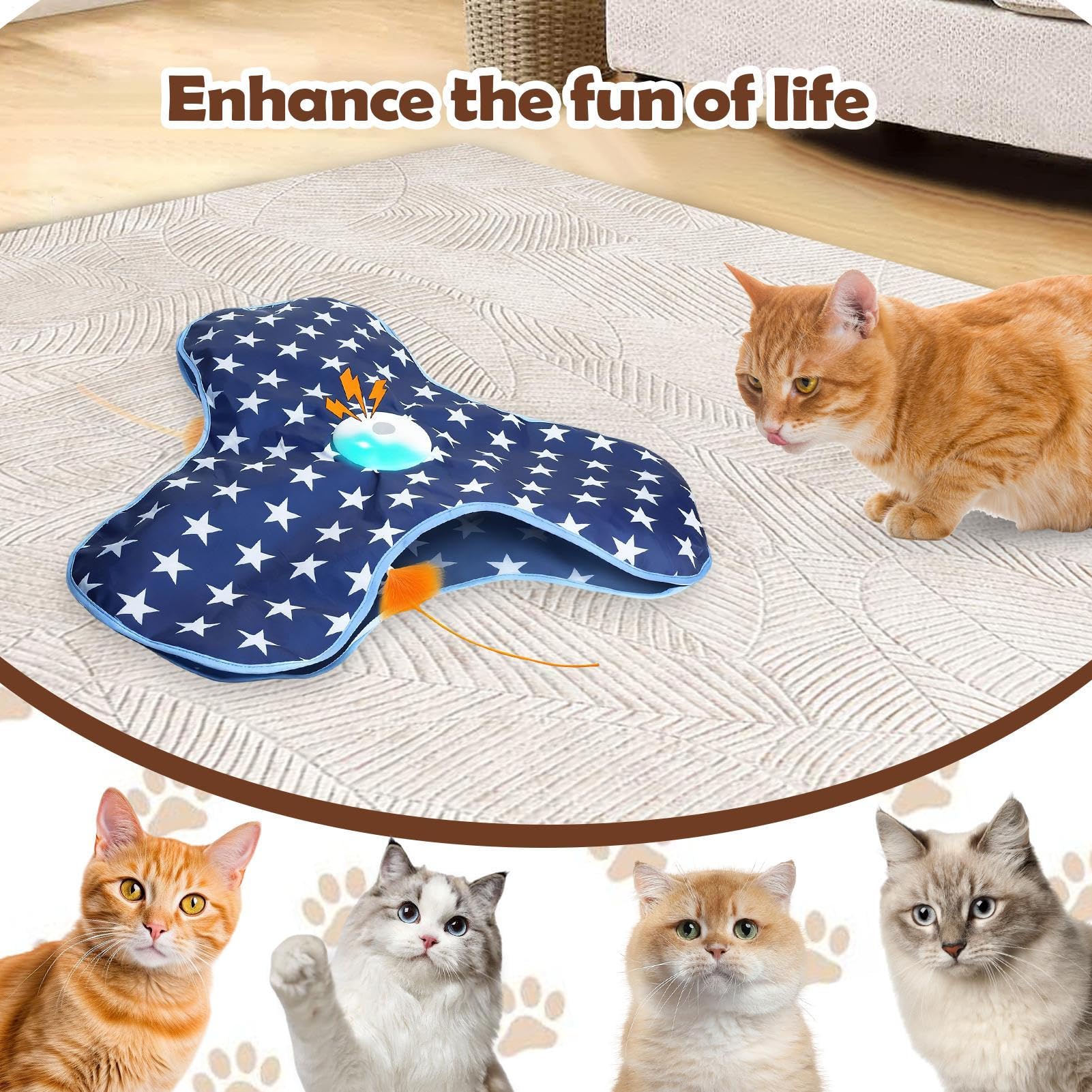 Jouet Interactif Pour Chat De Leurres Cachés Mobiles