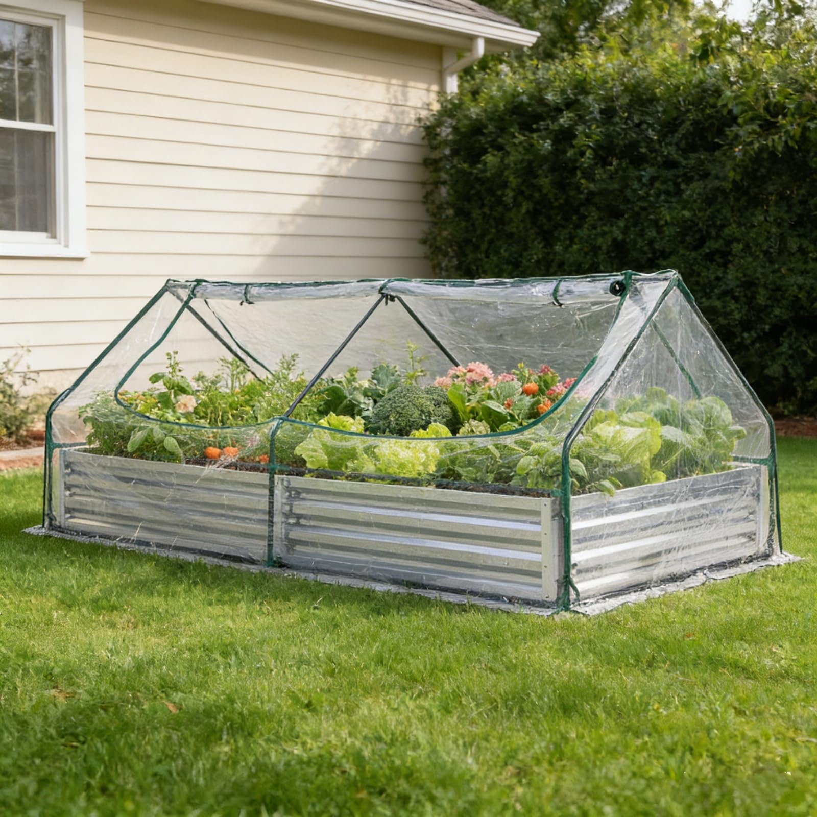 Amazon.com : Trygoal 8x4 FT Greenhouse with Double Zipper Doors