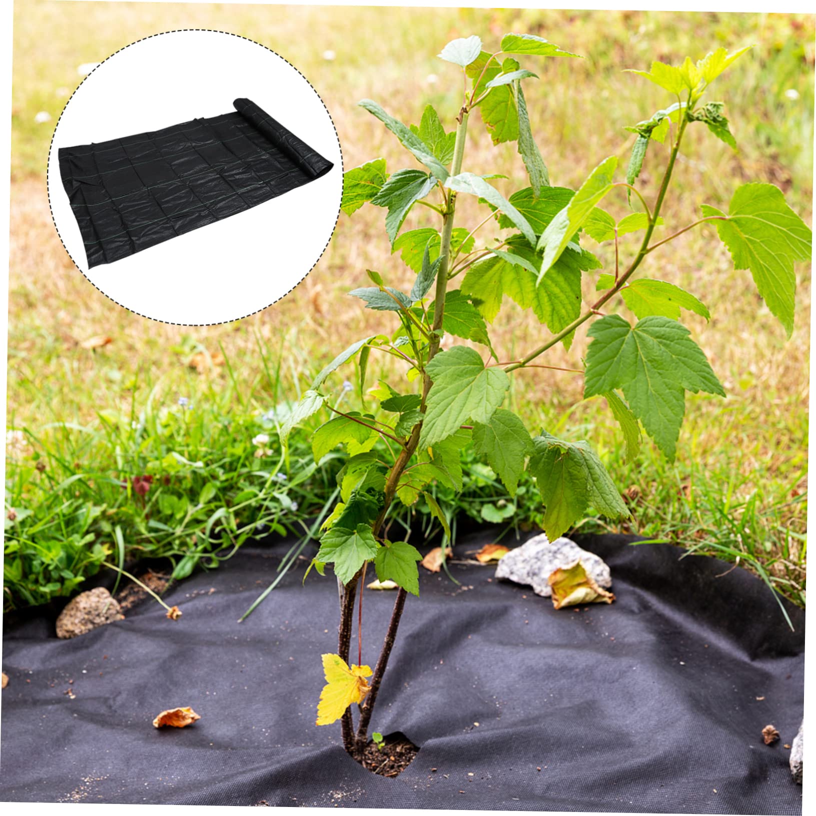 Abaodam Telo in Tessuto per Giardinaggio con Picchetti per Prevenzione Erbacce Adatto Orto Aiuole Tappezzanti Giardino
