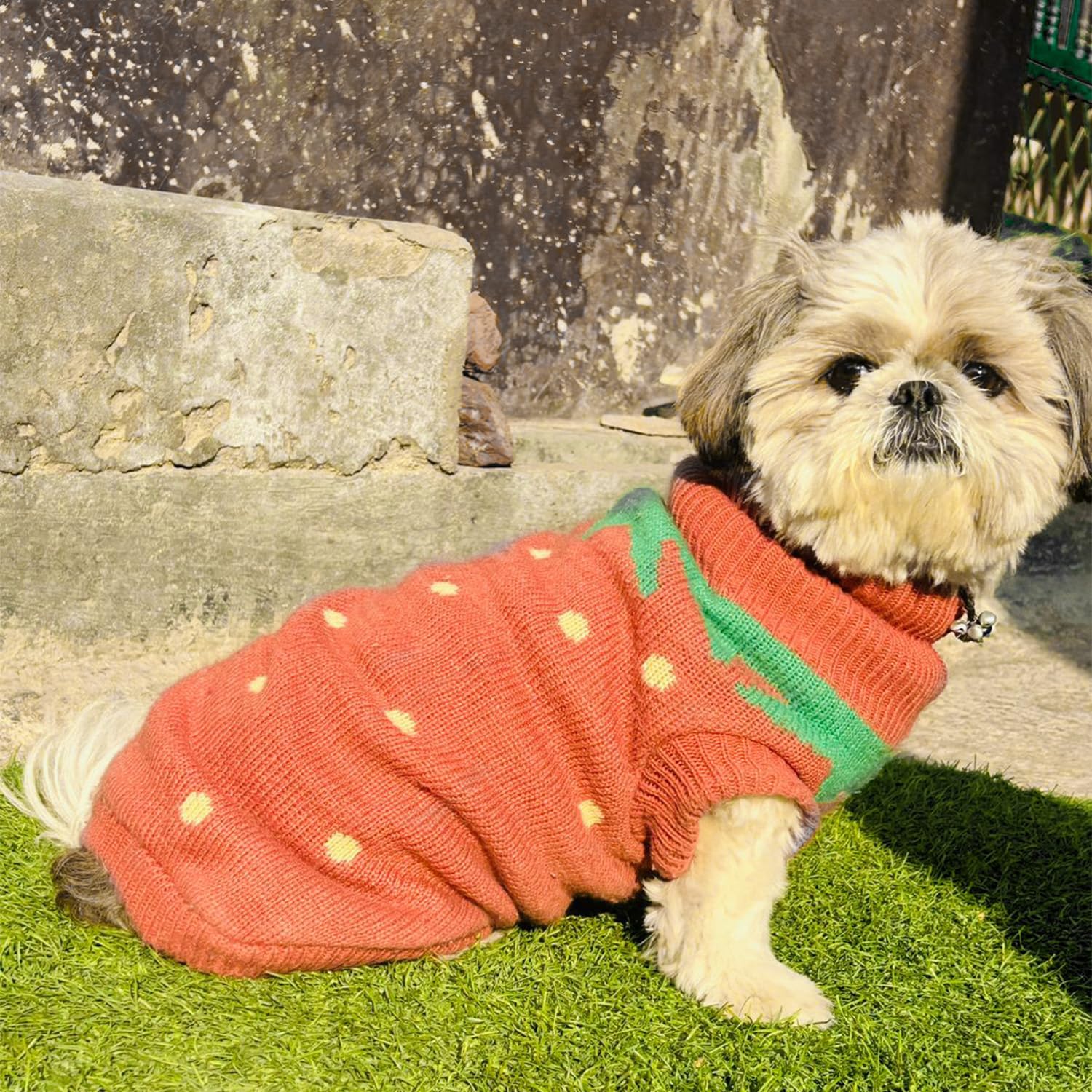 Lulala Dog Sweater, Knitted Turtleneck Cold Weather Dog Sweater for Small Dogs, Soft Diamond Plaid Pullover Knitwear Dog Winter Warm Clothes, Pet Coat Puppy Sweater (Peach, 12 Inch)