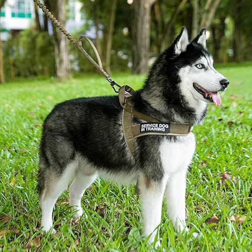 Miniatura 6 de EXCELLENT ELITE SPANKER Arnés acolchado para perro, sin tirones, arnés ajustable de nailon para perros pequeños, arnés para caminar para entrenar y