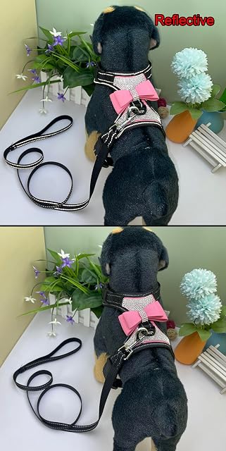 Foto 3 de 7 de Newtensina 2 Piezas Pajaritas Bling Lindo Perro arnes con Correa para Perro - Rosa - M