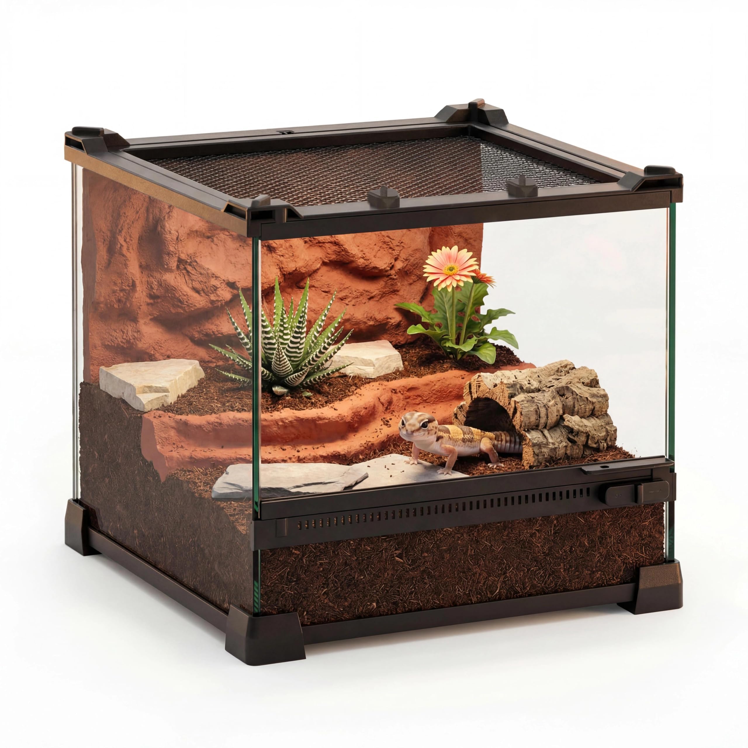 NEPTONION 10"x10"x8" Reptile Terrarium, Single-Door Glass Terrestrial Vivarium for Small Desert Reptiles Such as Juvenile Leopard Geckos, with Lock, Cable Port & Waterproof Deep Base Below Front Door