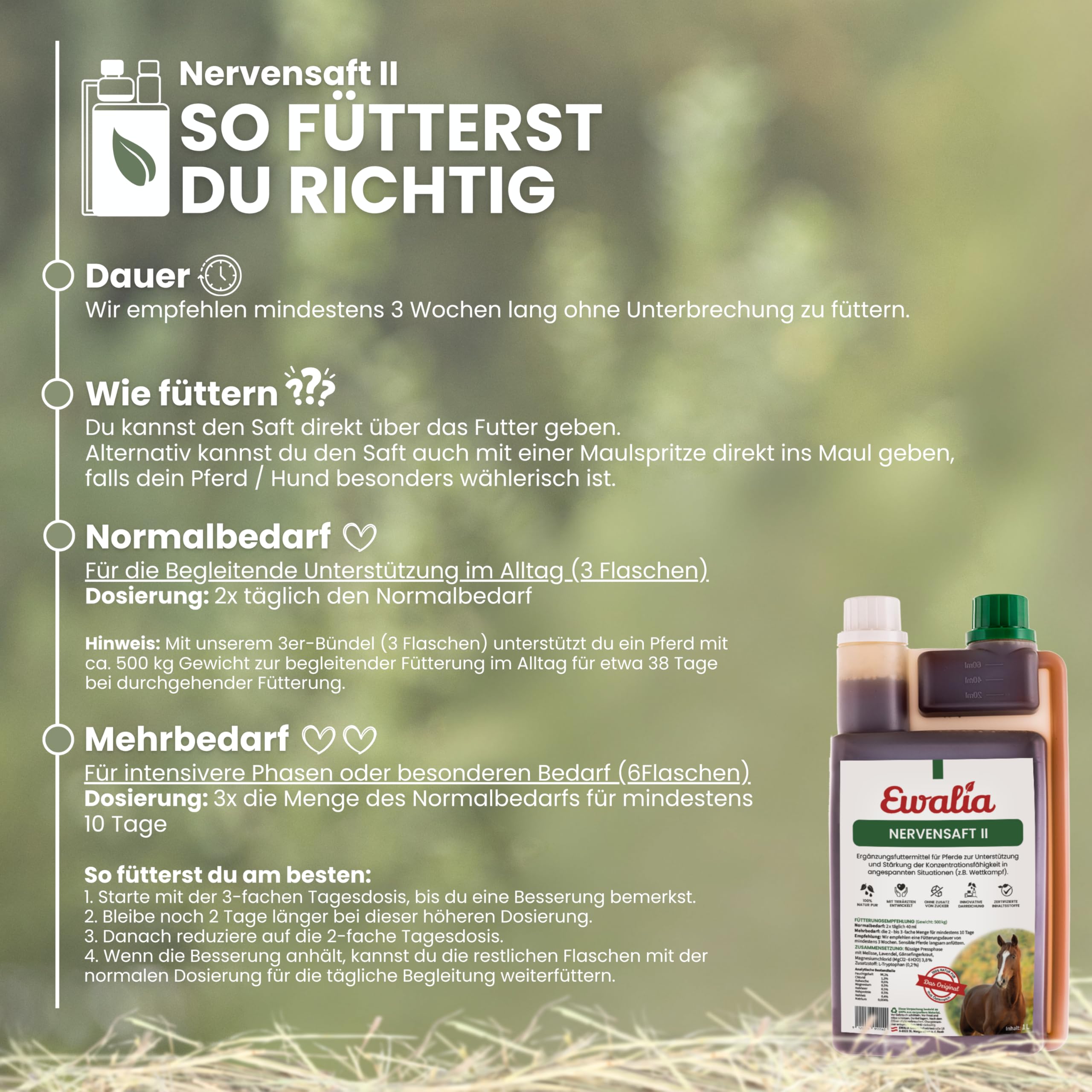 Ewalia - Succo nervoso II, 1 l