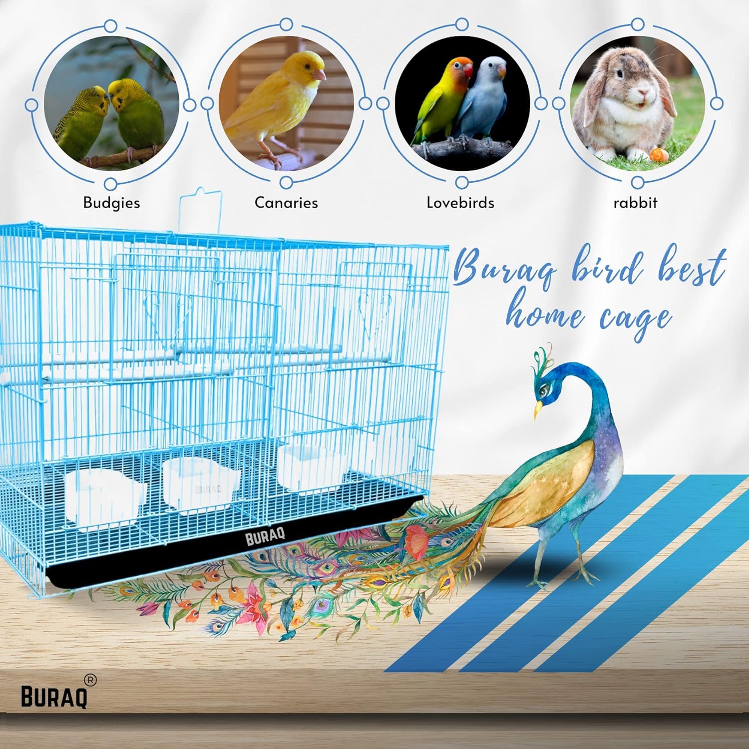 Buraq Iron Pets Ft Partition Bird Cage Best Love Desertcart INDIA