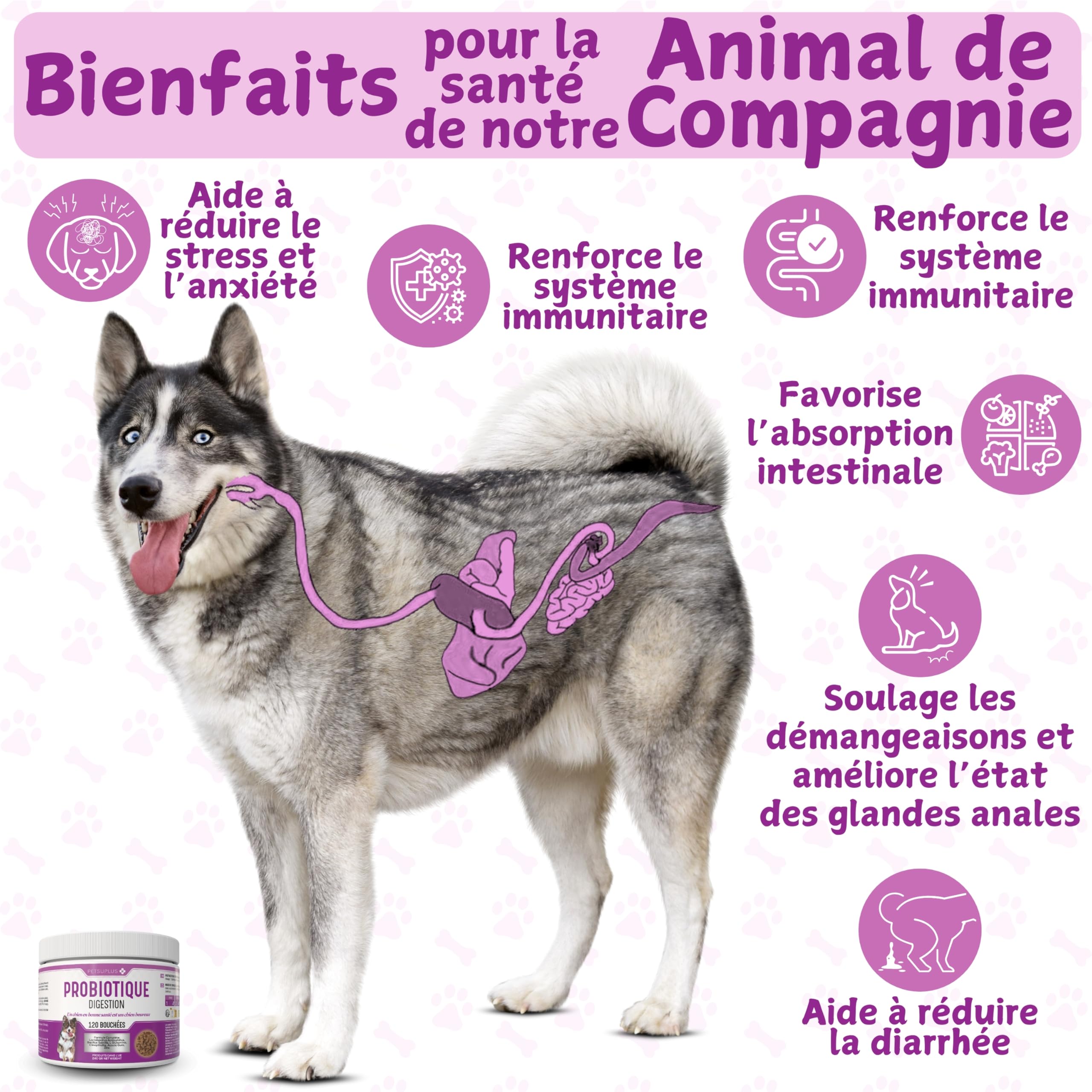 Probiotique Chien - Complement Alimentaire Chien pour la Digestion - Probiotiques Santé Flore Intestinale et Système Immunitaire - Anti Diarrhée, Gaz et Vomissements - 120 Comprimés