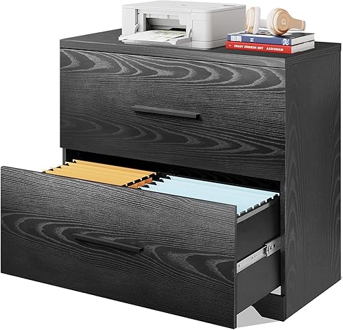 DEVAISE Archivador lateral de madera con 2 cajones