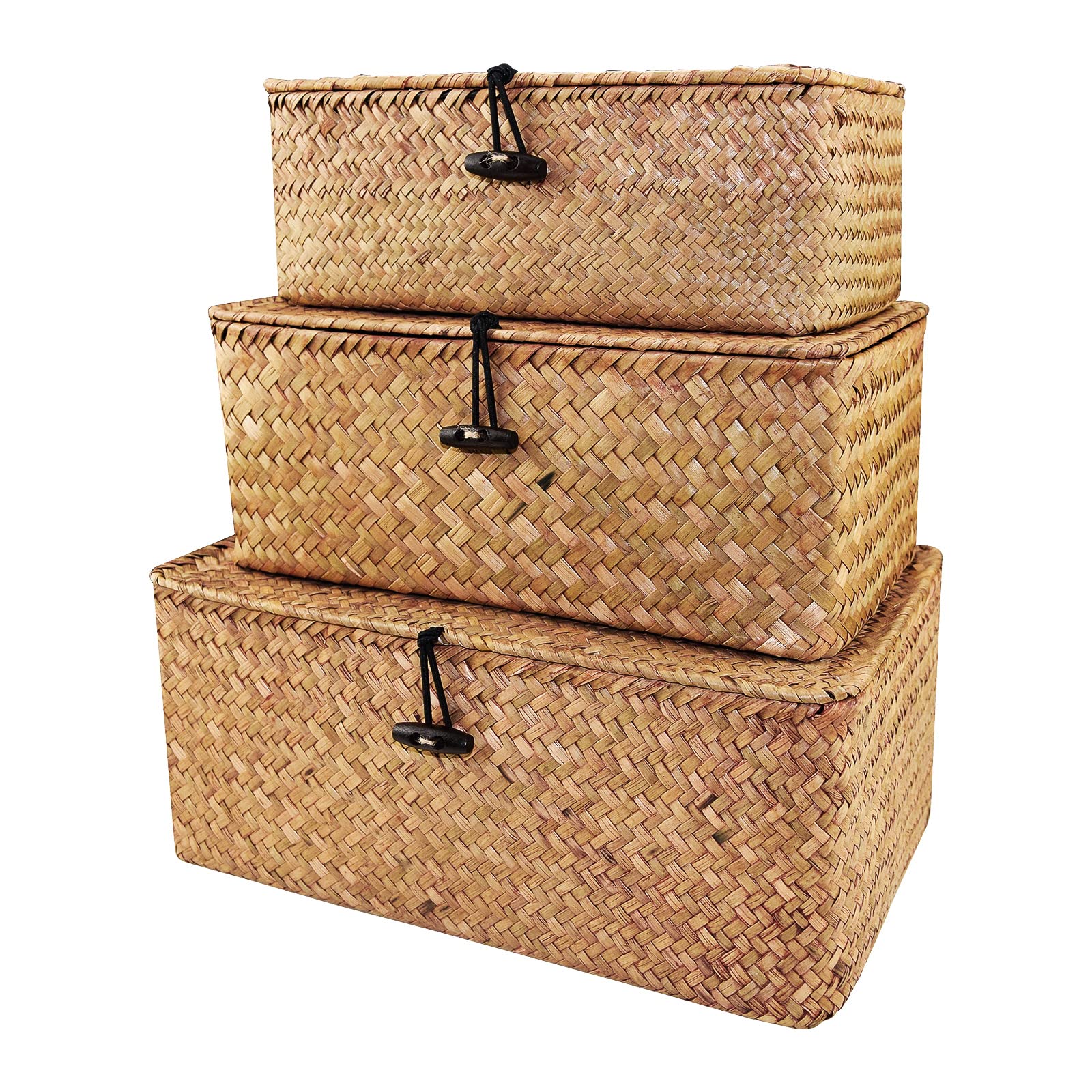 Cesto portaoggetti in rattan intrecciato, cestino in rattan con coperchio, contenitore con coperchio, ideale per bagno, soggiorno, cucina