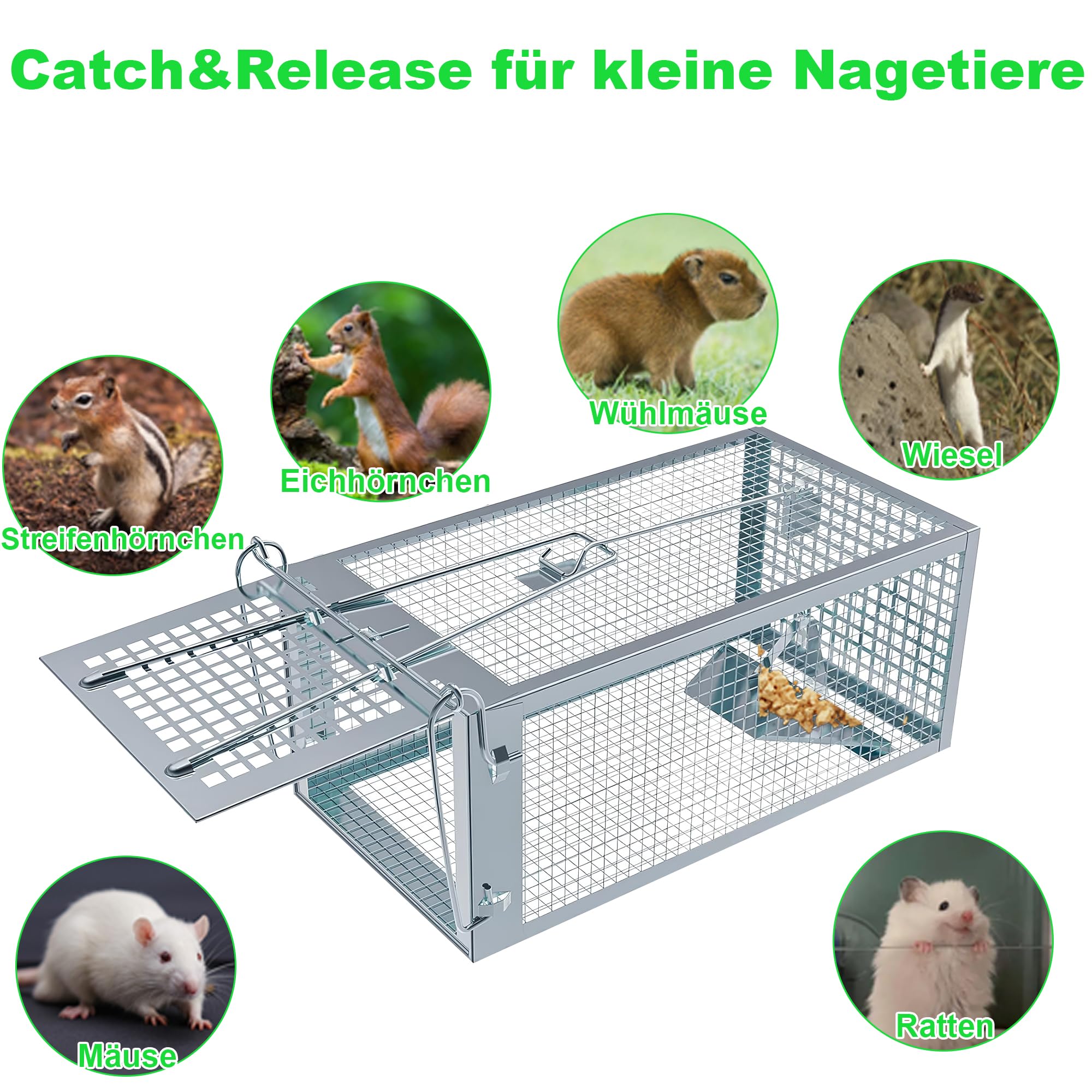 Mausefalle Lebend, Rattenfalle Lebendfalle 2er Set XL Groß Tierfalle Wiederverwendbare Mäuse Falle Lebend Käfig für Innen & Aussen, 100% Effektiv & Verletzungsfrei