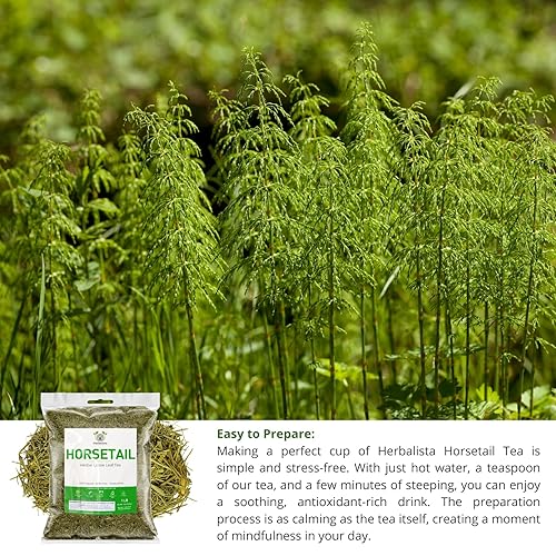 Miniatura 4 de Herbalista Nature - Té de cola de caballo suelto prémium (4 onzas, 3.99 oz), té de hierbas 100% natural de cola de caballo, hierba para afeitar,
