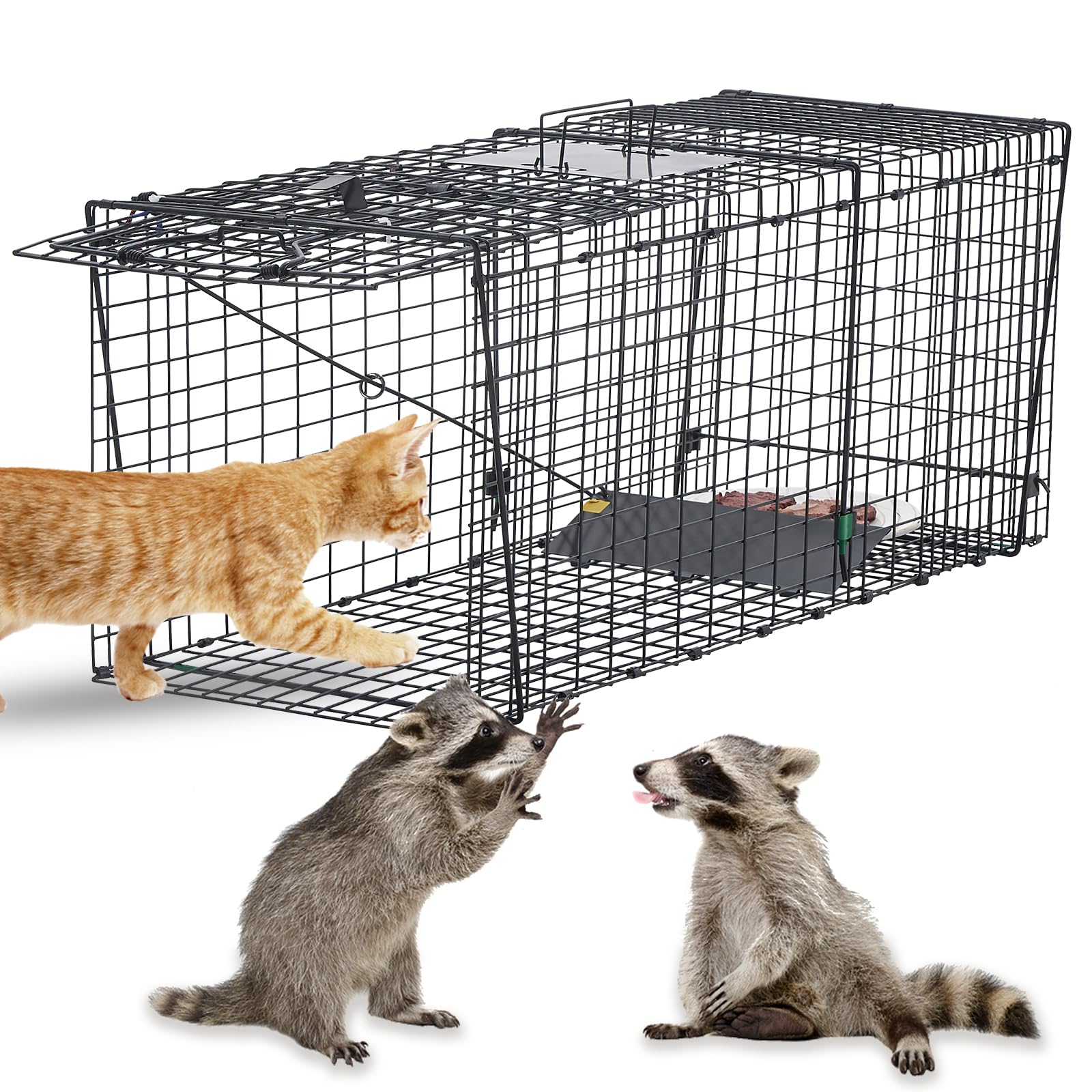 Humane Live Animal Trap for Raccoons, Stray Cats, and Similar-Sized Animals. 37 inch Large Heavy-Duty Construction, Reusable, Black Finish to Minimize Reflection and Glare.