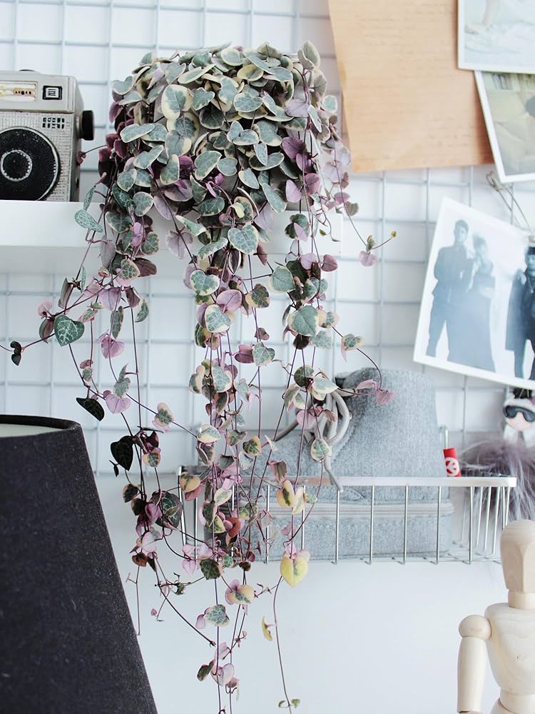 Dirt Bootu00ae Camo Nylon Chest Waders 100% Waterproof Fly Coarse Fishing Muck Wader