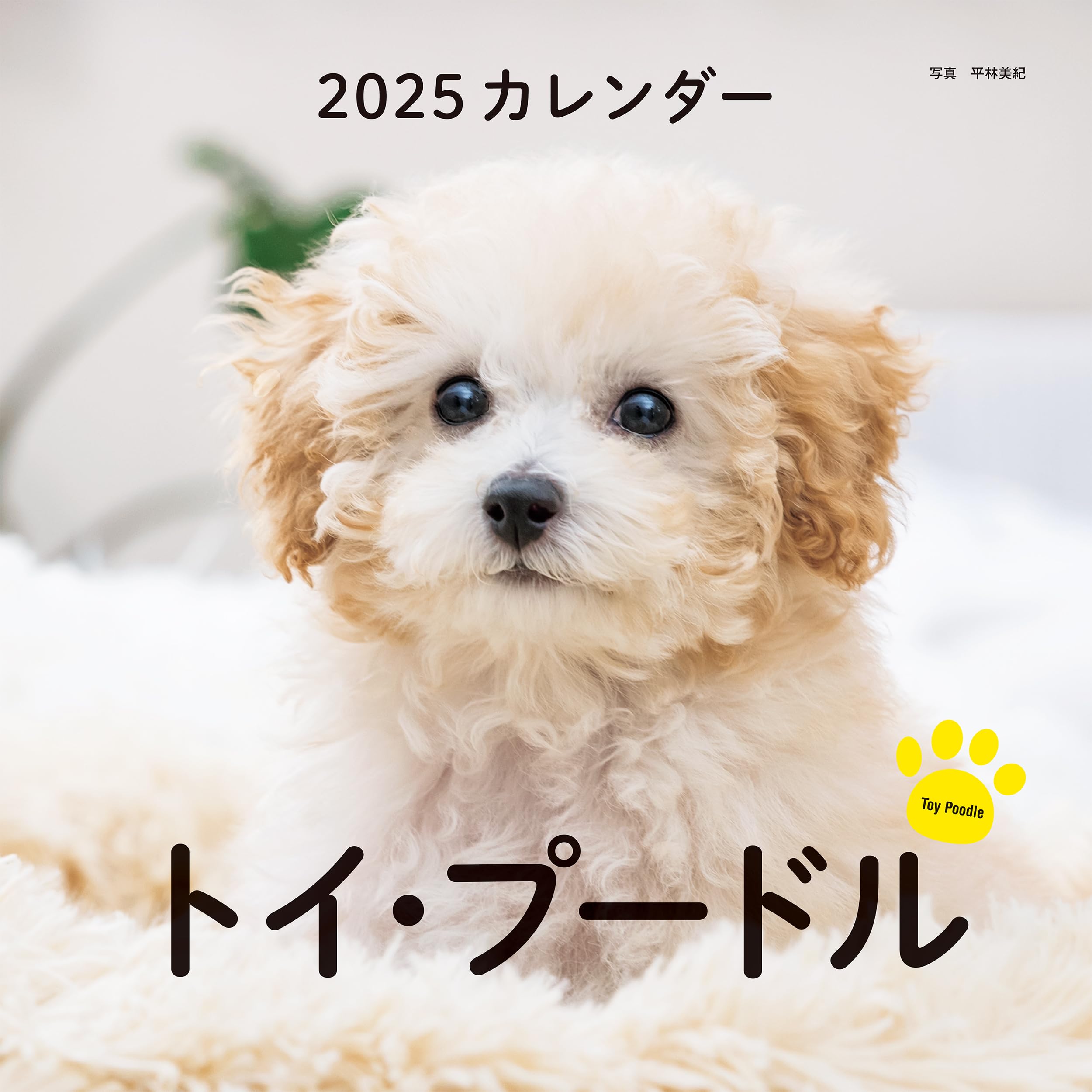 2025年カレンダー トイ・プードル (誠文堂新光社カレンダー) | 平林